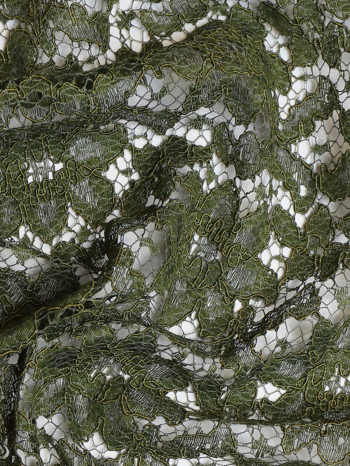 Dentelle cordon olive - Shannon