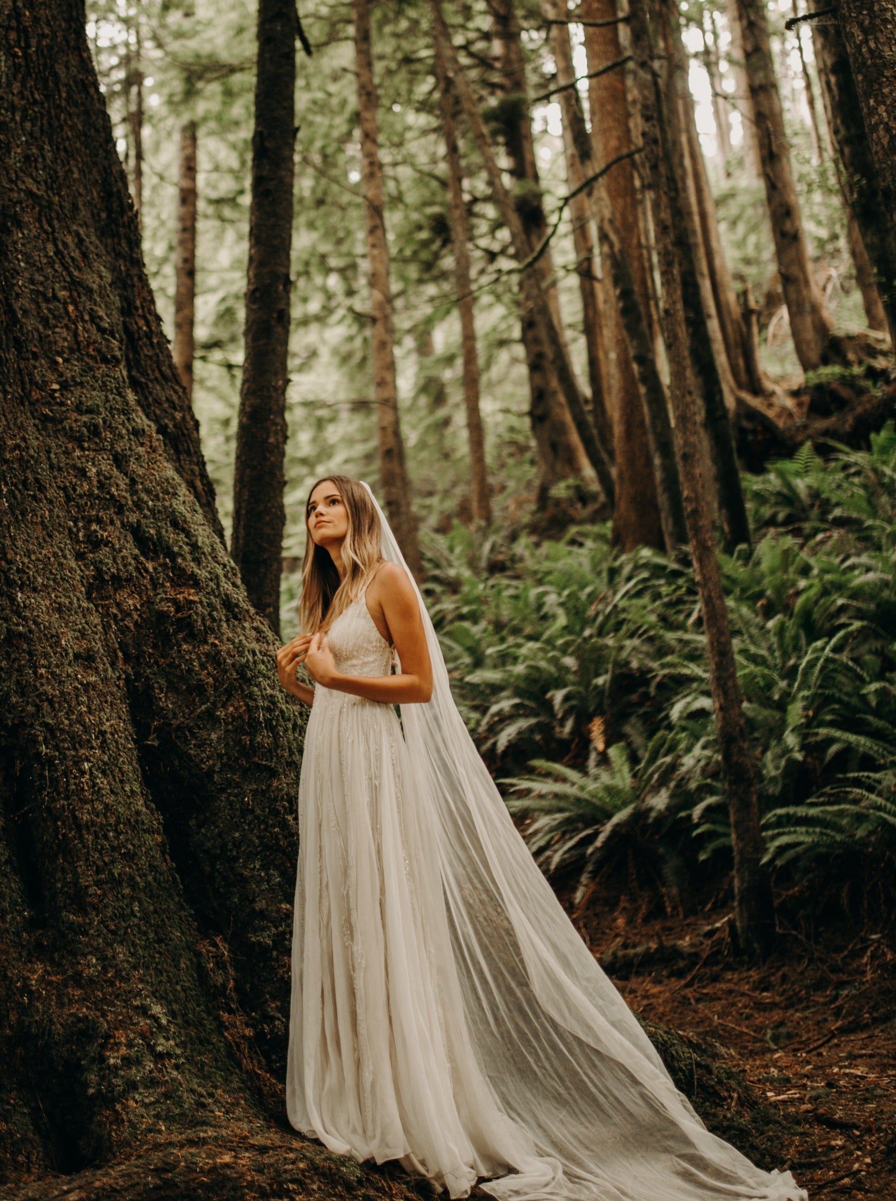 Dentelle Perlée Ivoire - Athira