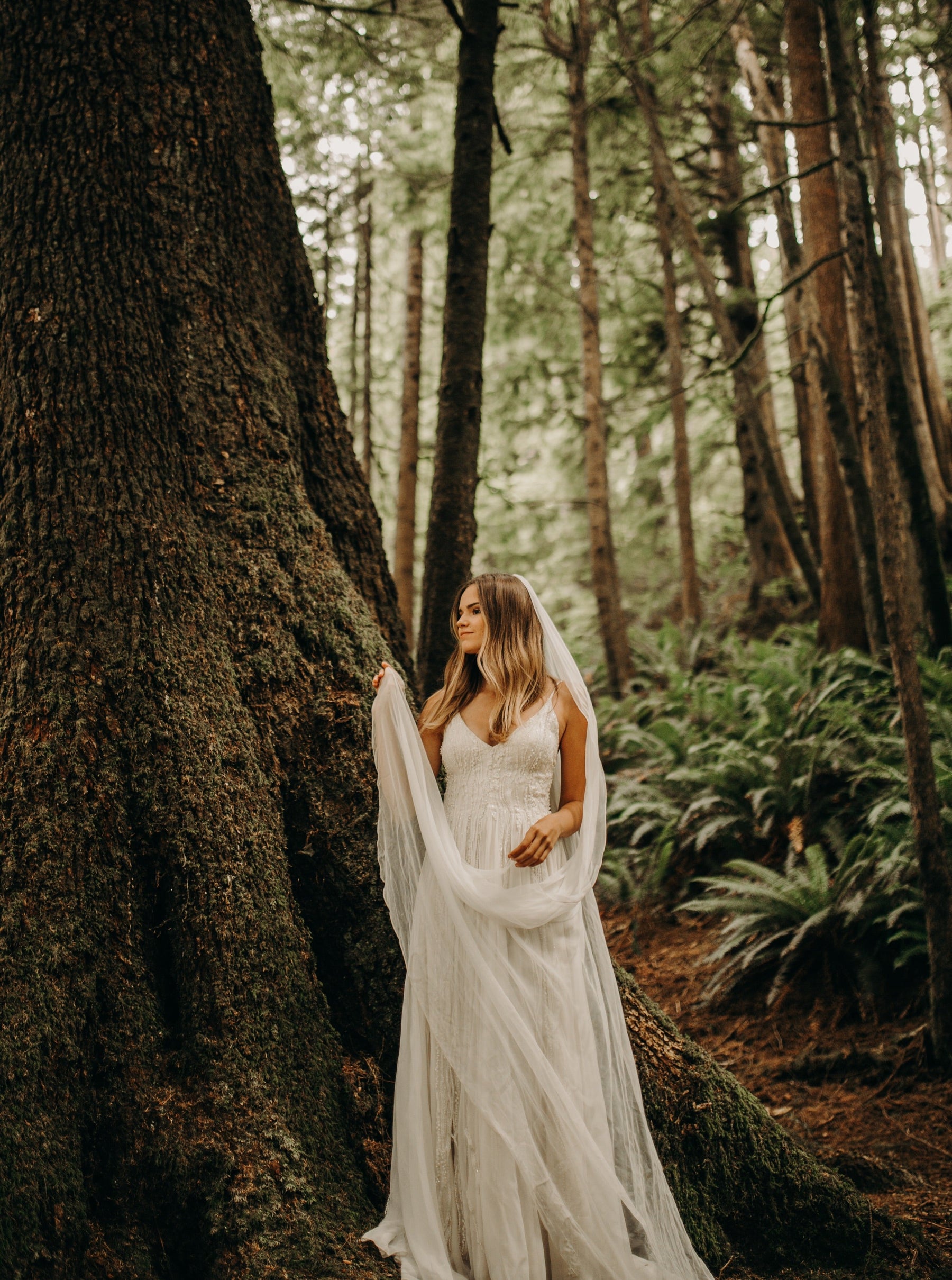 Dentelle Perlée Ivoire - Athira