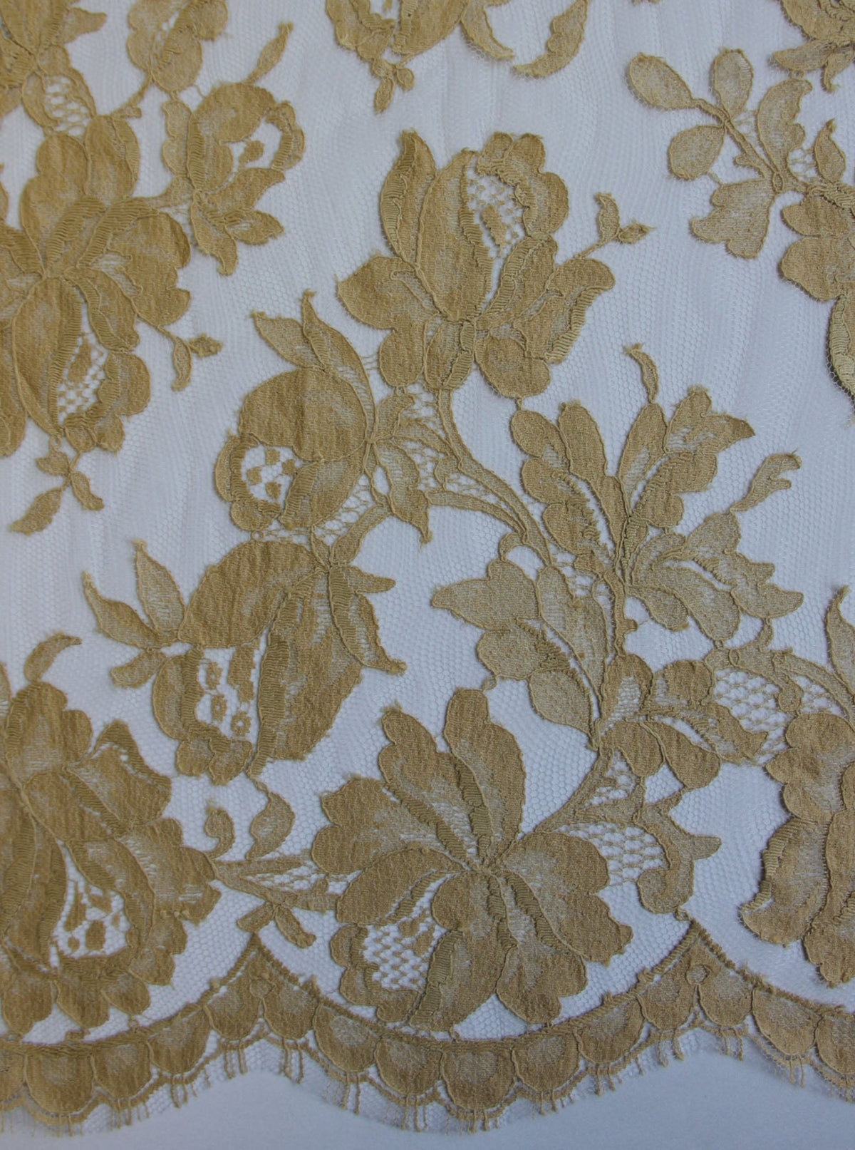 Dentelle beige - Harper.