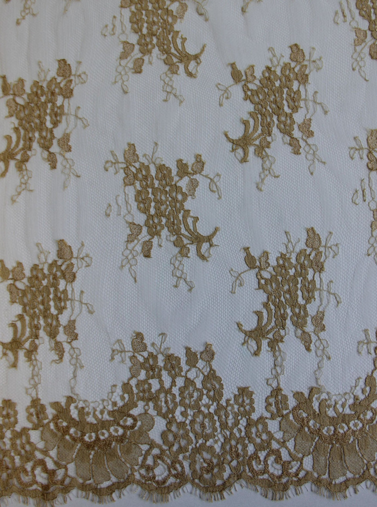 Dentelle beige - Lillian.