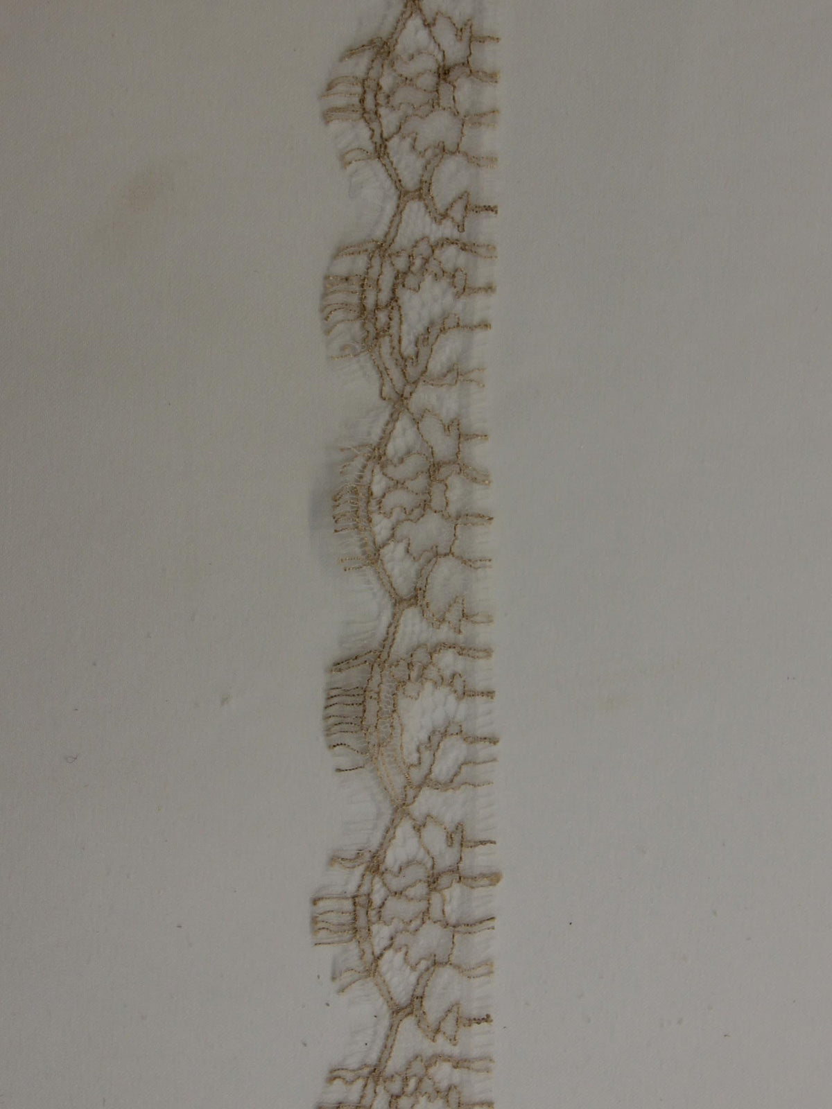 Bordure en dentelle beige - Anna