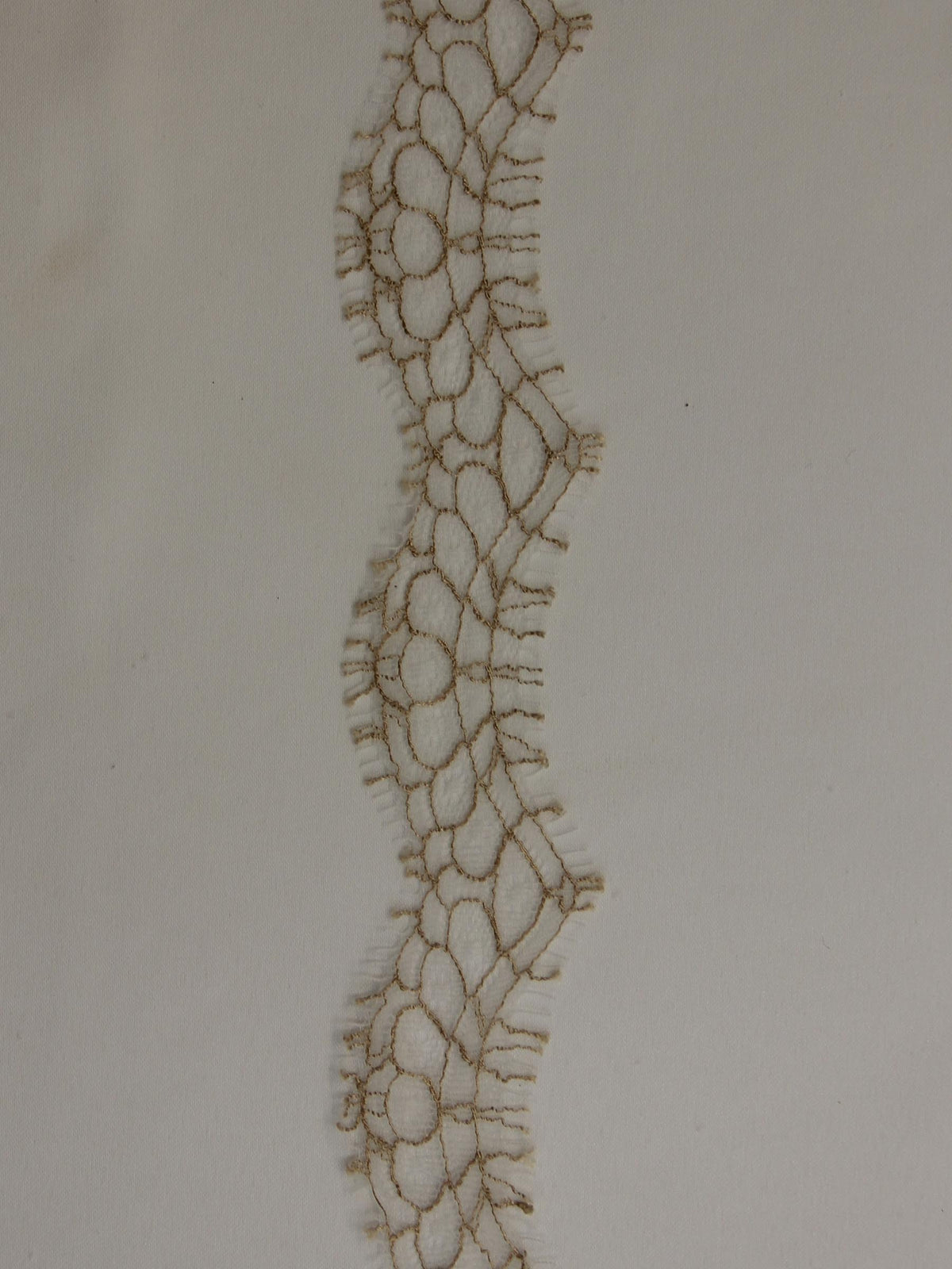 Bordure en dentelle beige - Darcey.