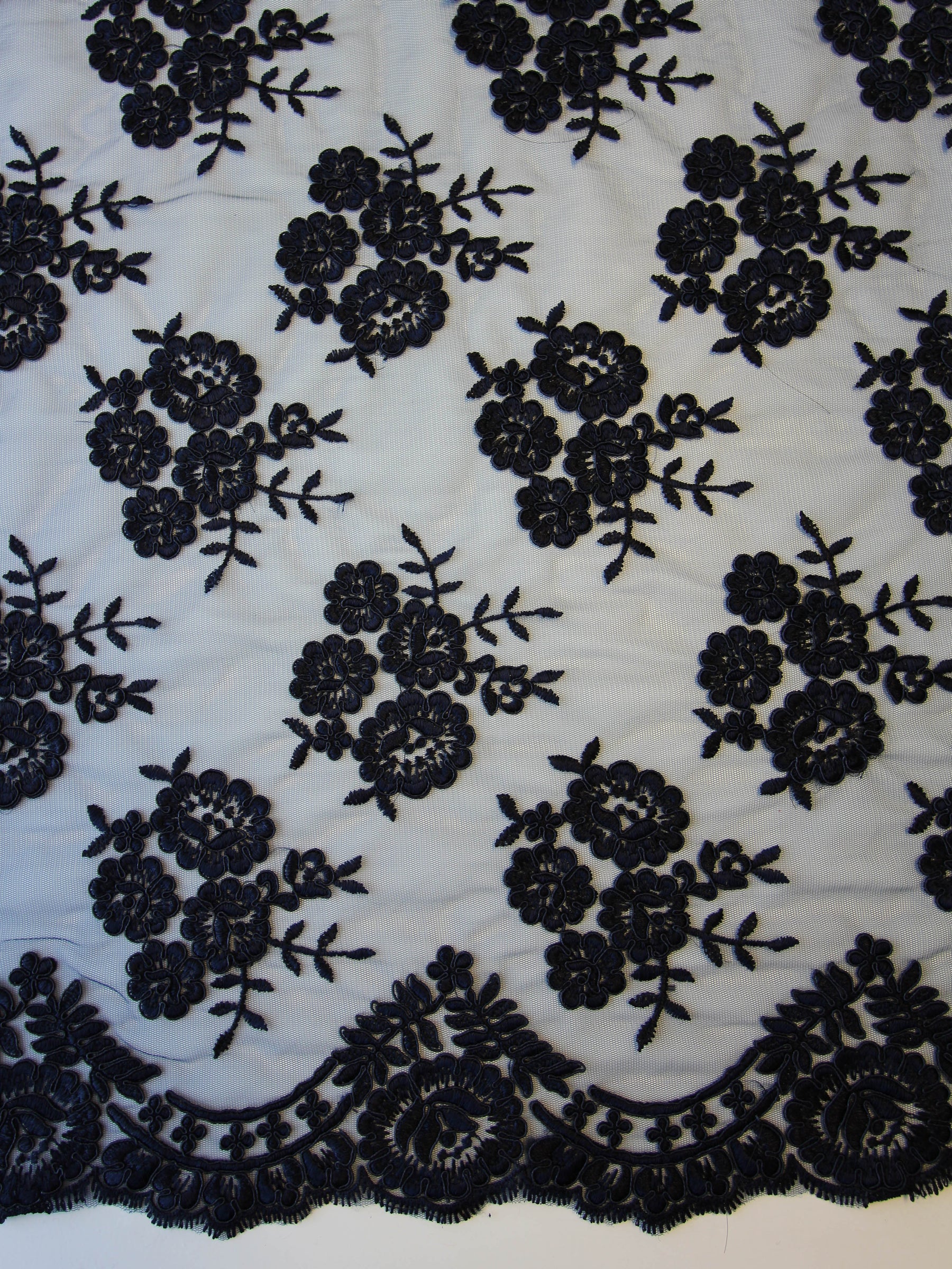 Dentelle Noire Cordonnée - Riaz
