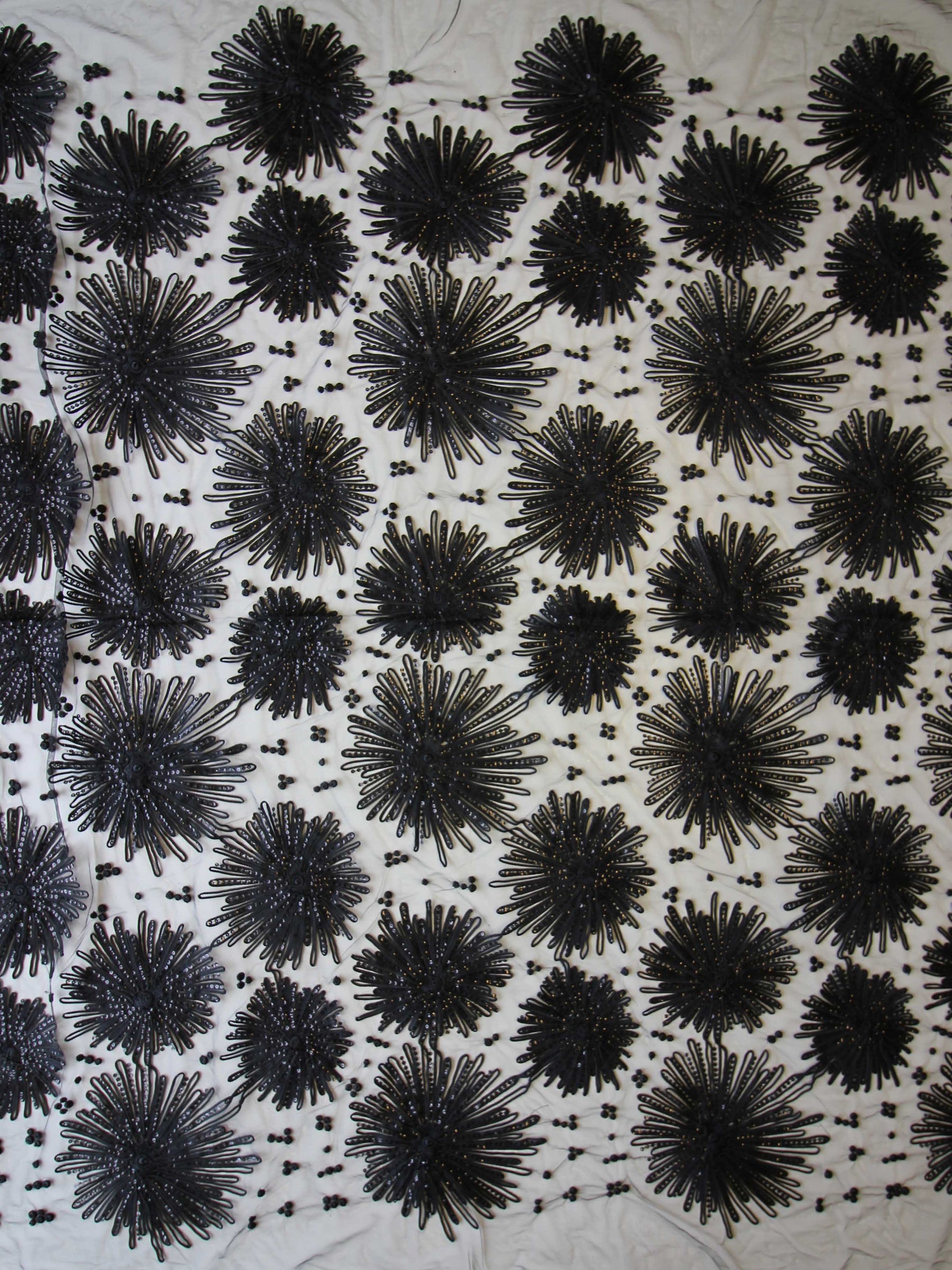 Dentelle Noire Cordonnée & Paillettes - Danuta