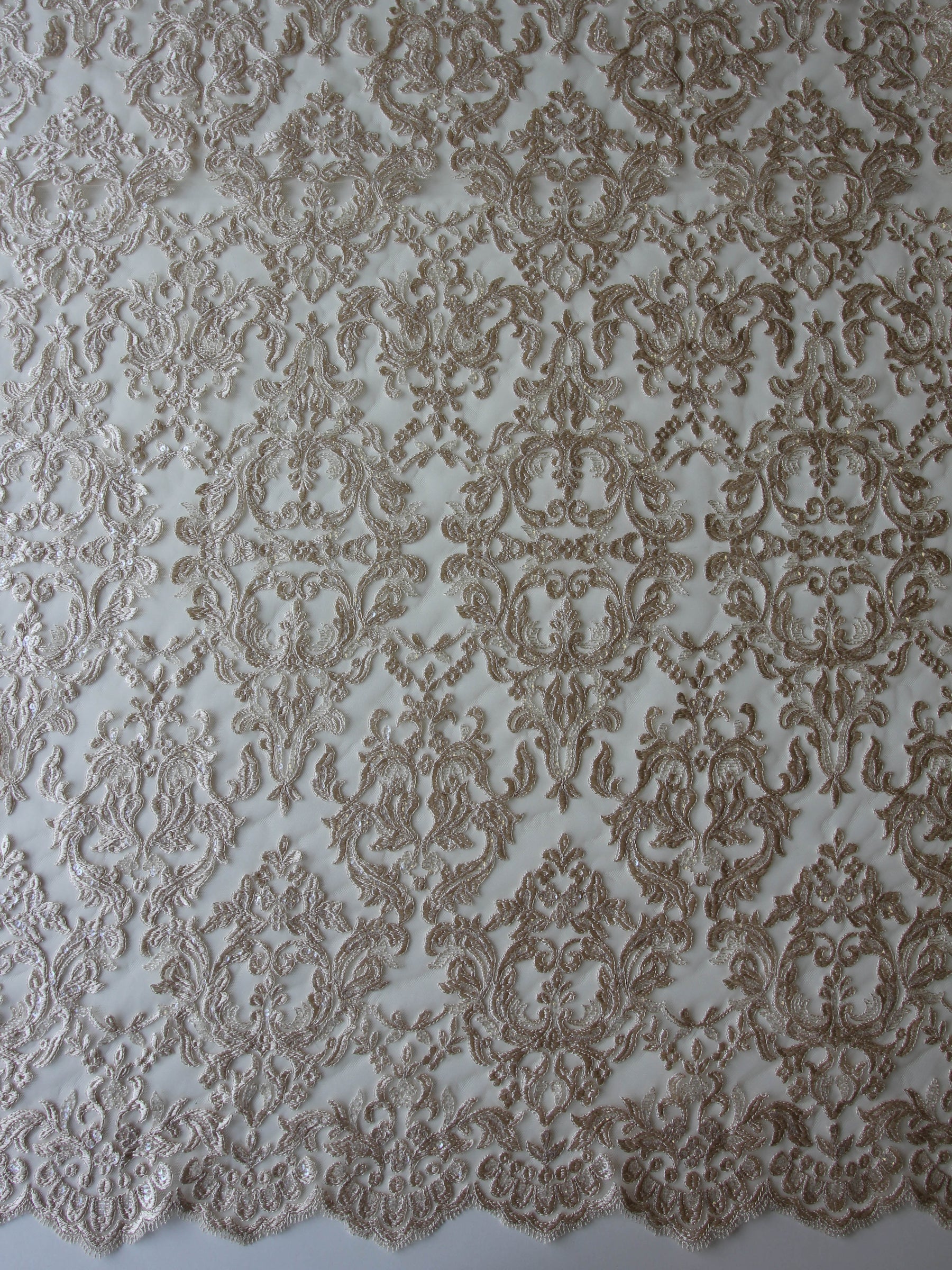 Dentelle Broderie Paillettes Champagne - Albany