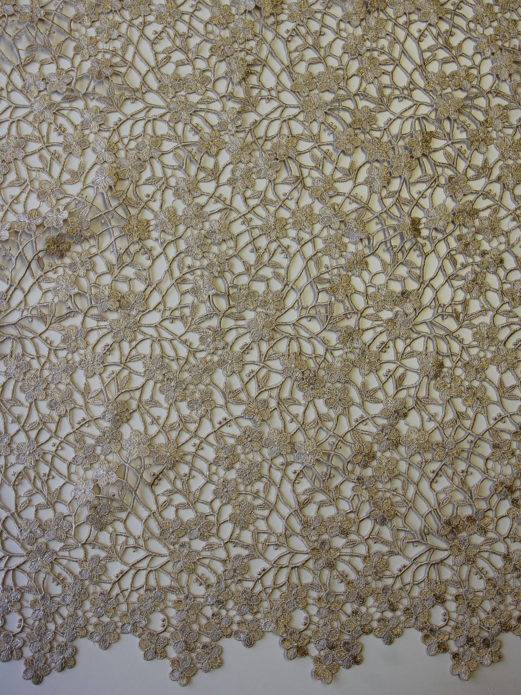 Dentelle Guipure Champagne - Ebba