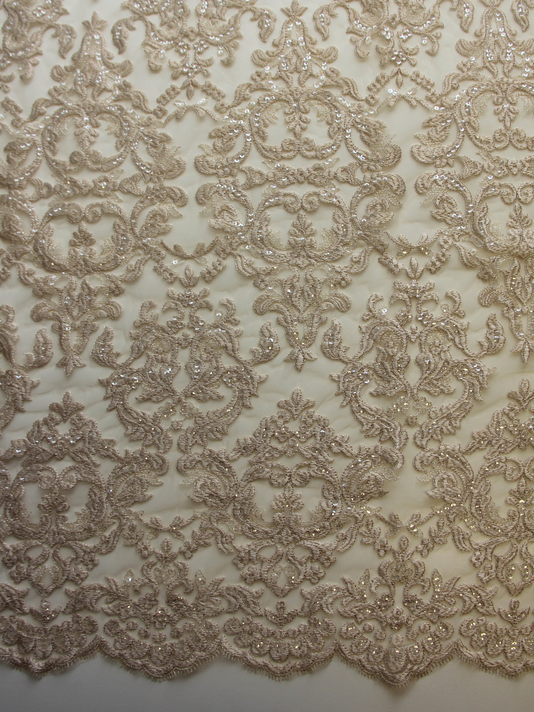 Dentelle Broderie Paillettes Champagne - Albany