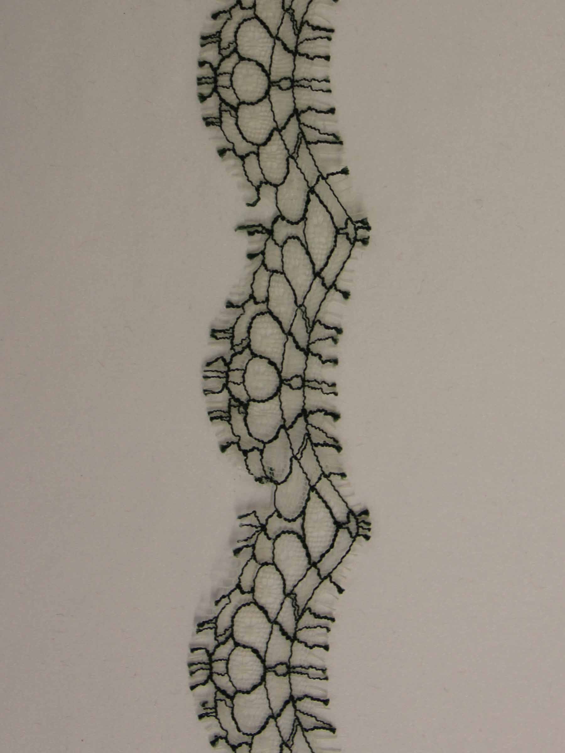 Bordure de dentelle vert forêt - Darcey