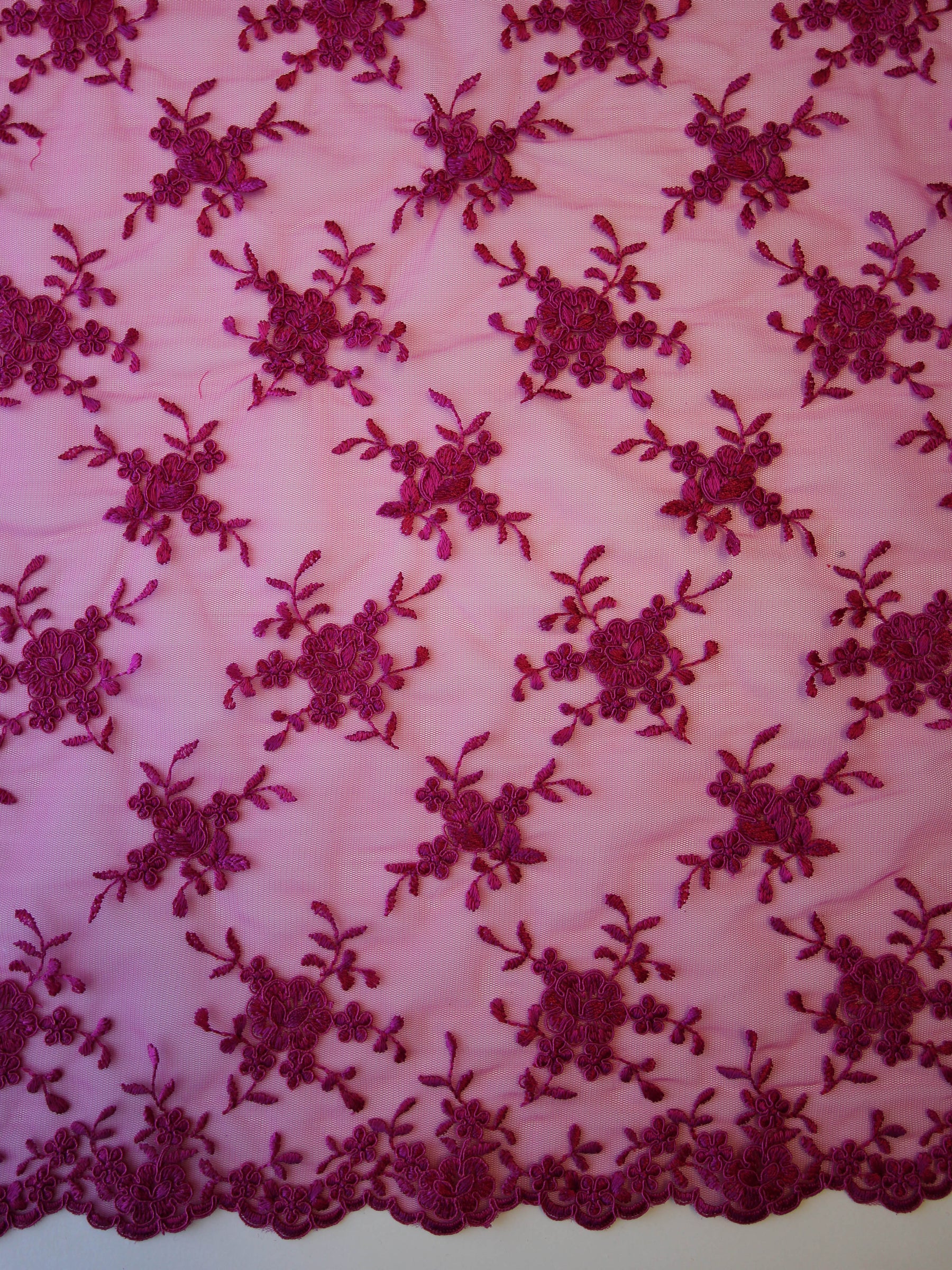 Dentelle Cordonnée Fuchsia - Géraldine