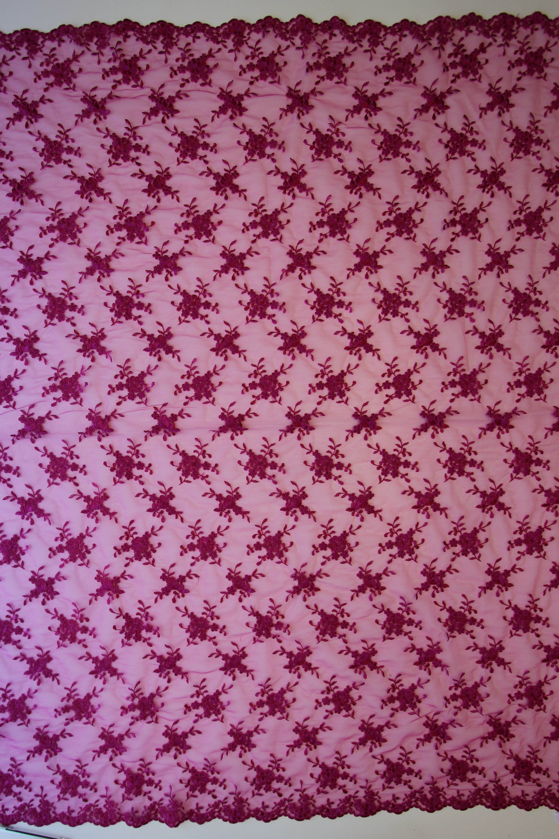 Dentelle Cordonnée Fuchsia - Géraldine