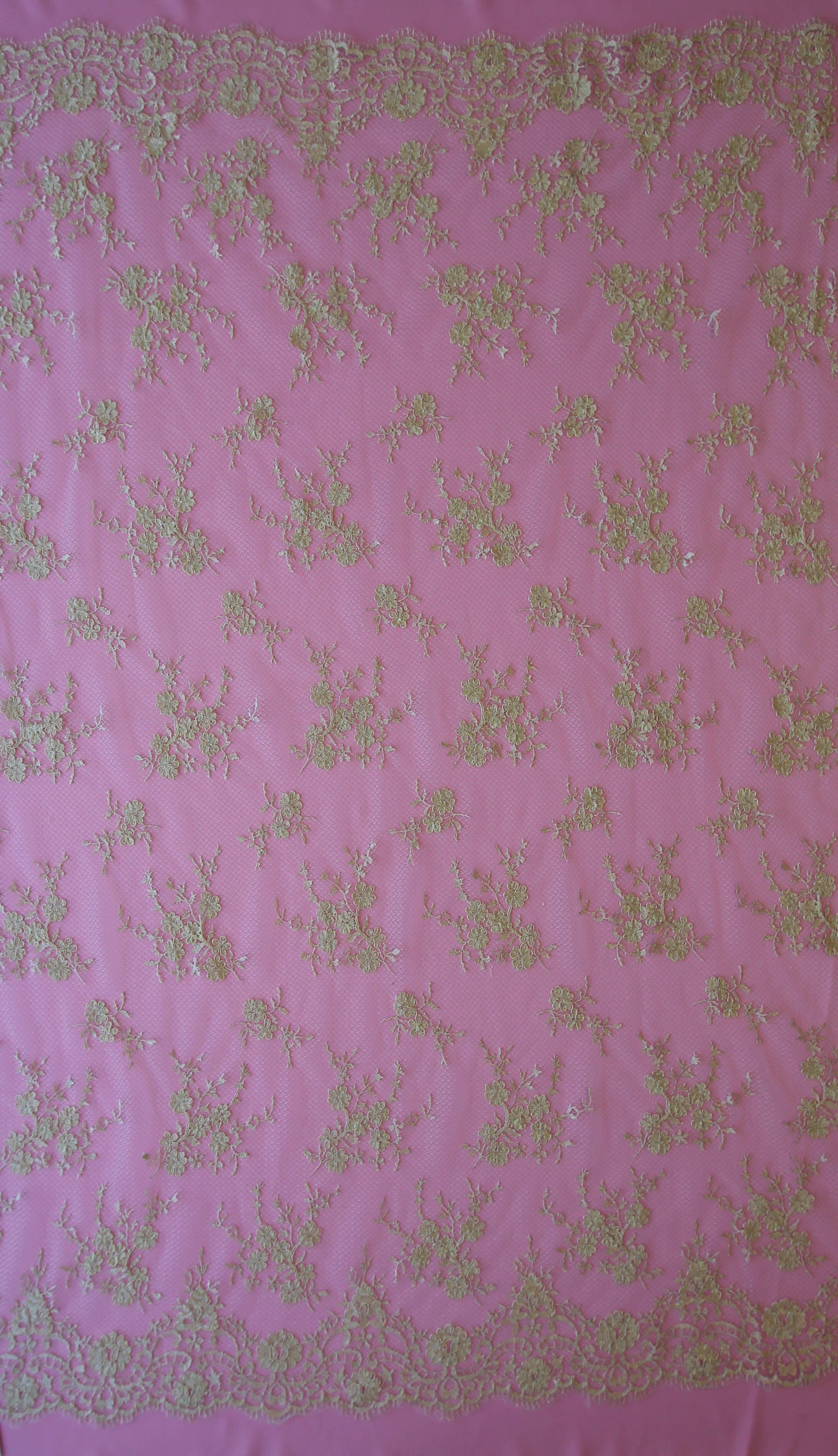 Dentelle à cordon doré - Ottilie