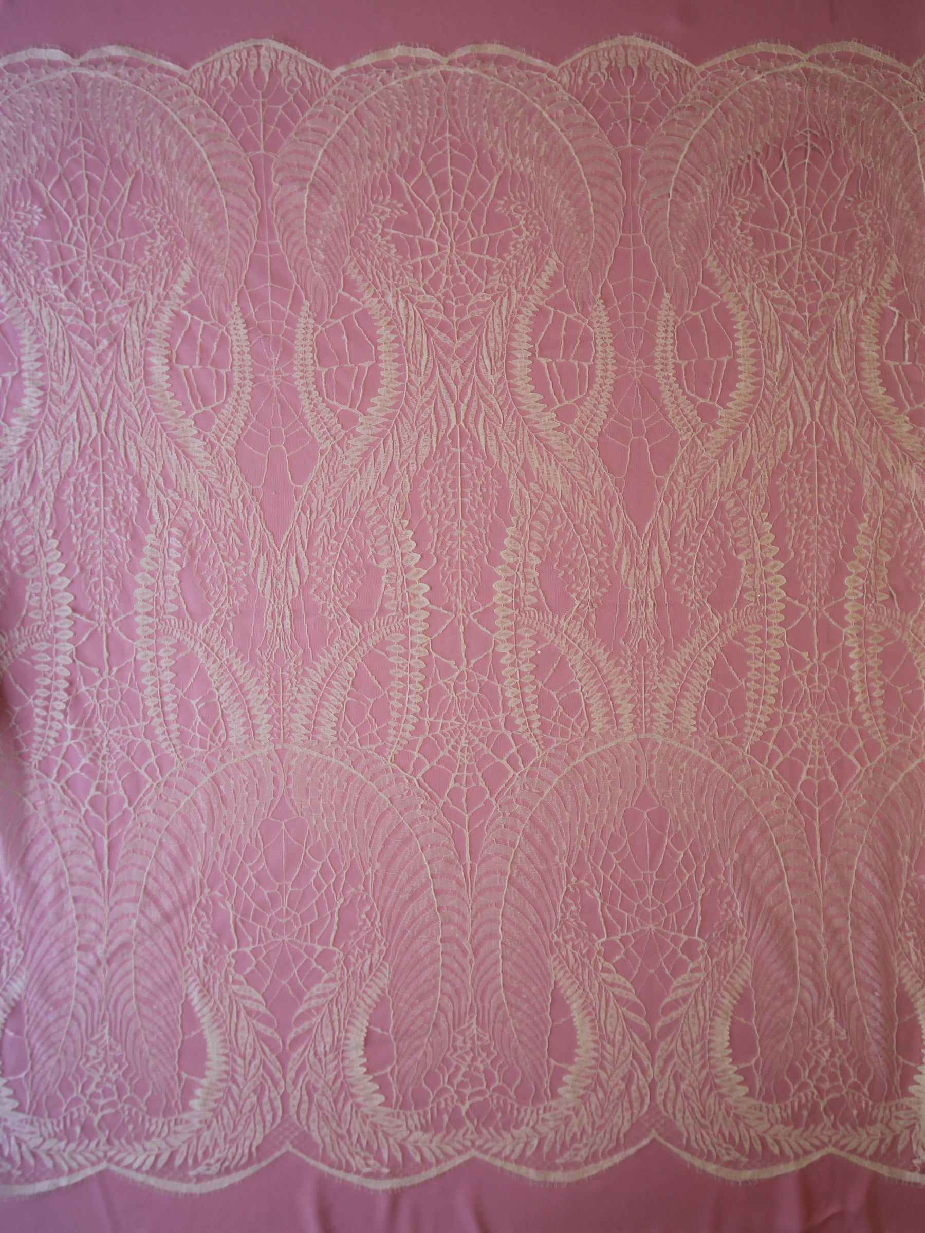 Dentelle Chantilly Ivoire - Birdie