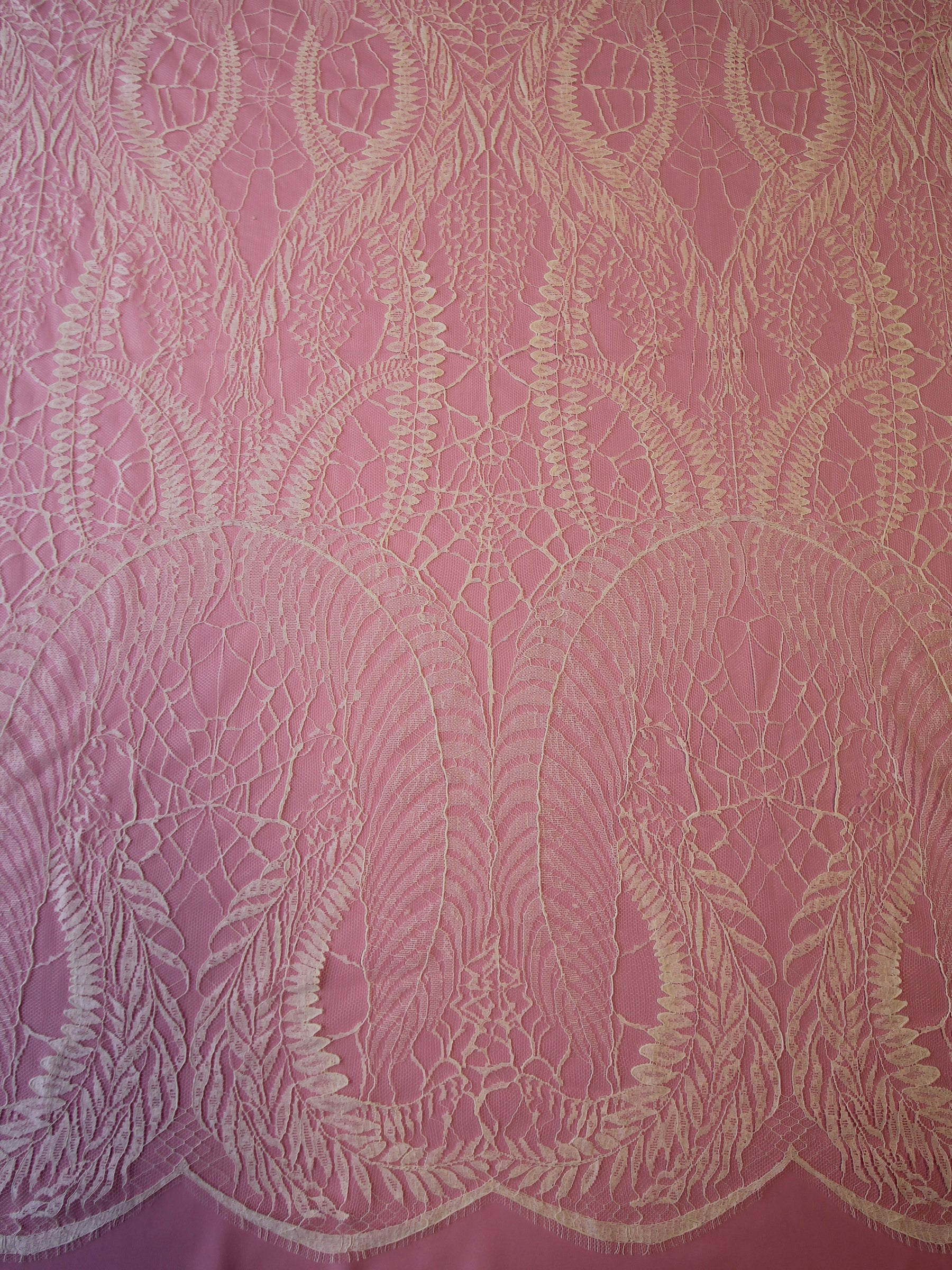 Dentelle Chantilly Ivoire - Birdie