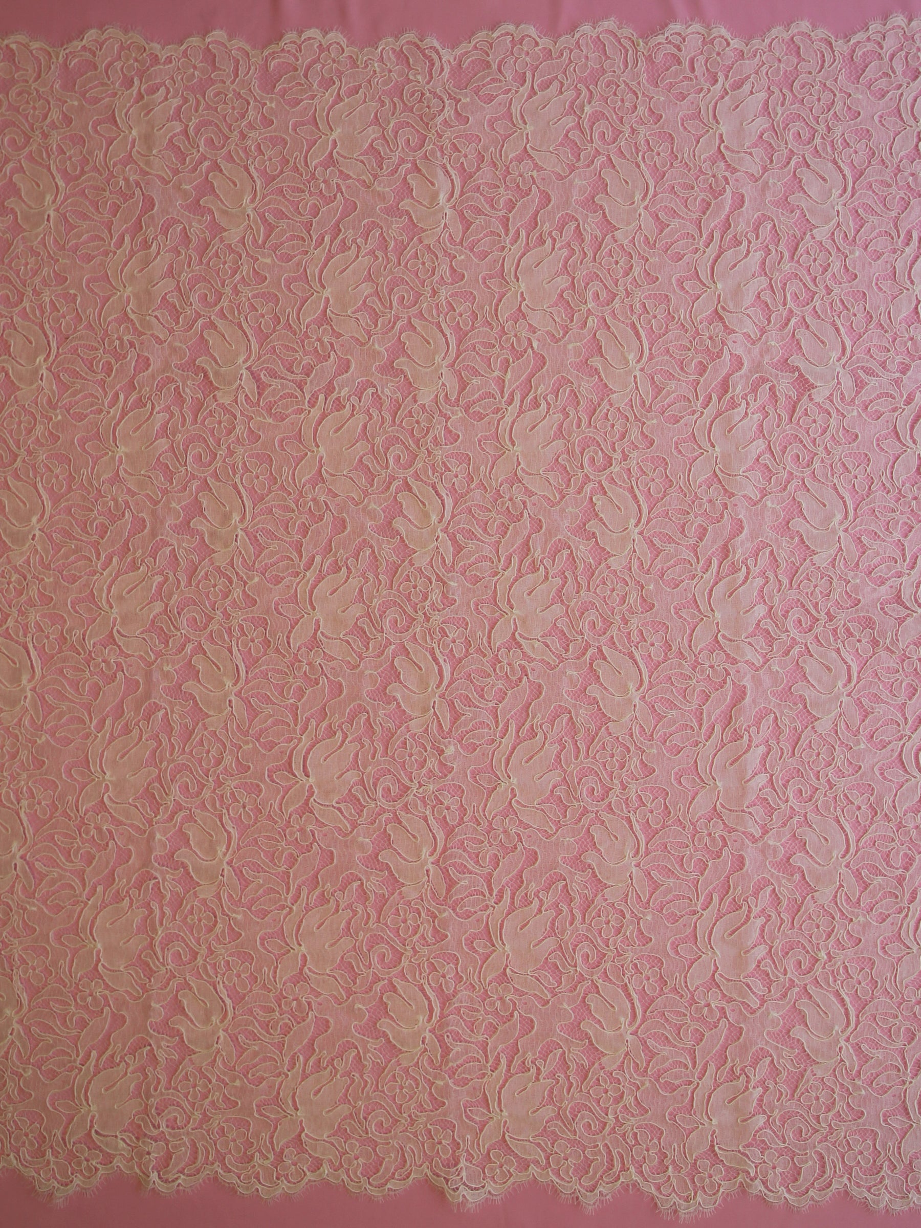 Dentelle Chantilly Ivoire Cordon - Fenella