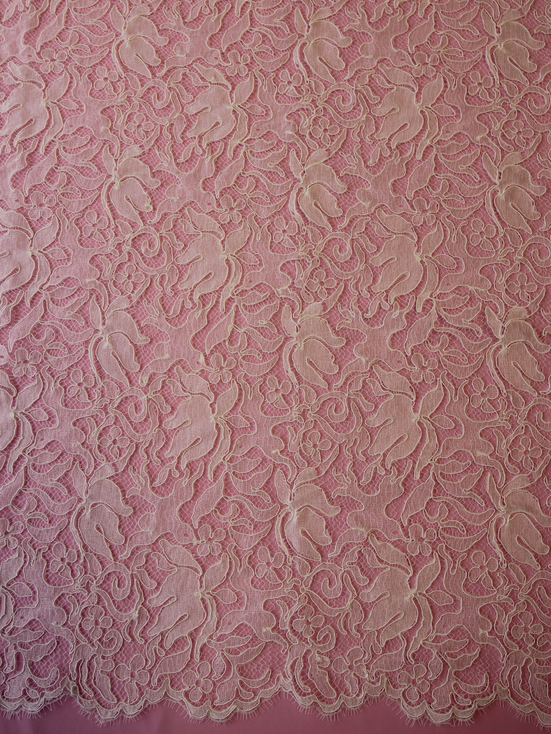 Dentelle Chantilly Ivoire Cordon - Fenella