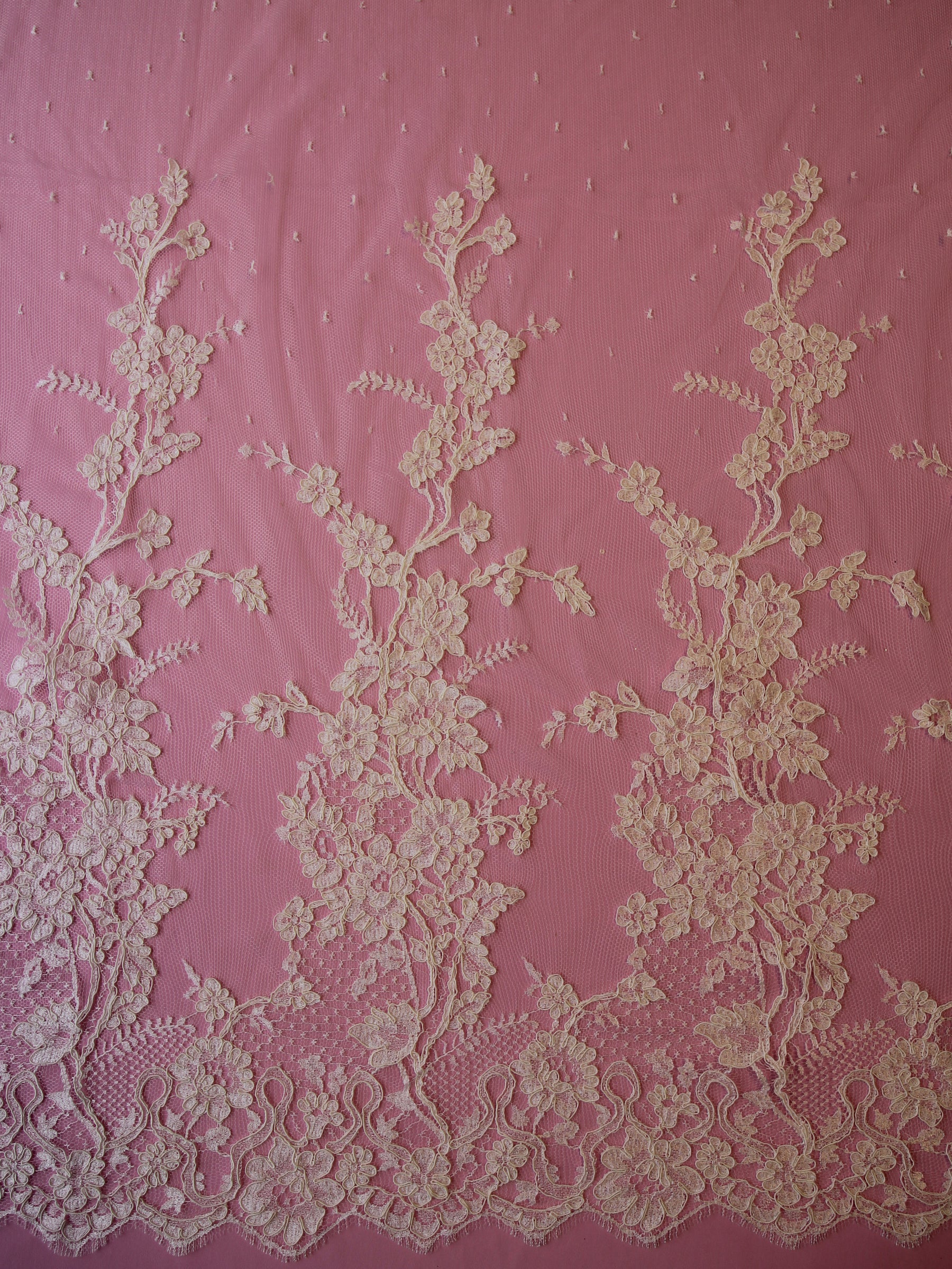 Dentelle de Calais Ivoire Cordon - Marigold