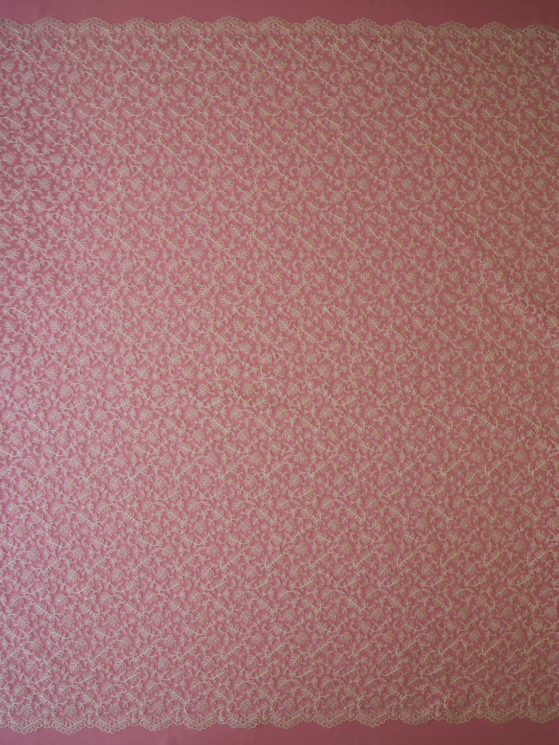 Dentelle Brodée Ivoire - Franca
