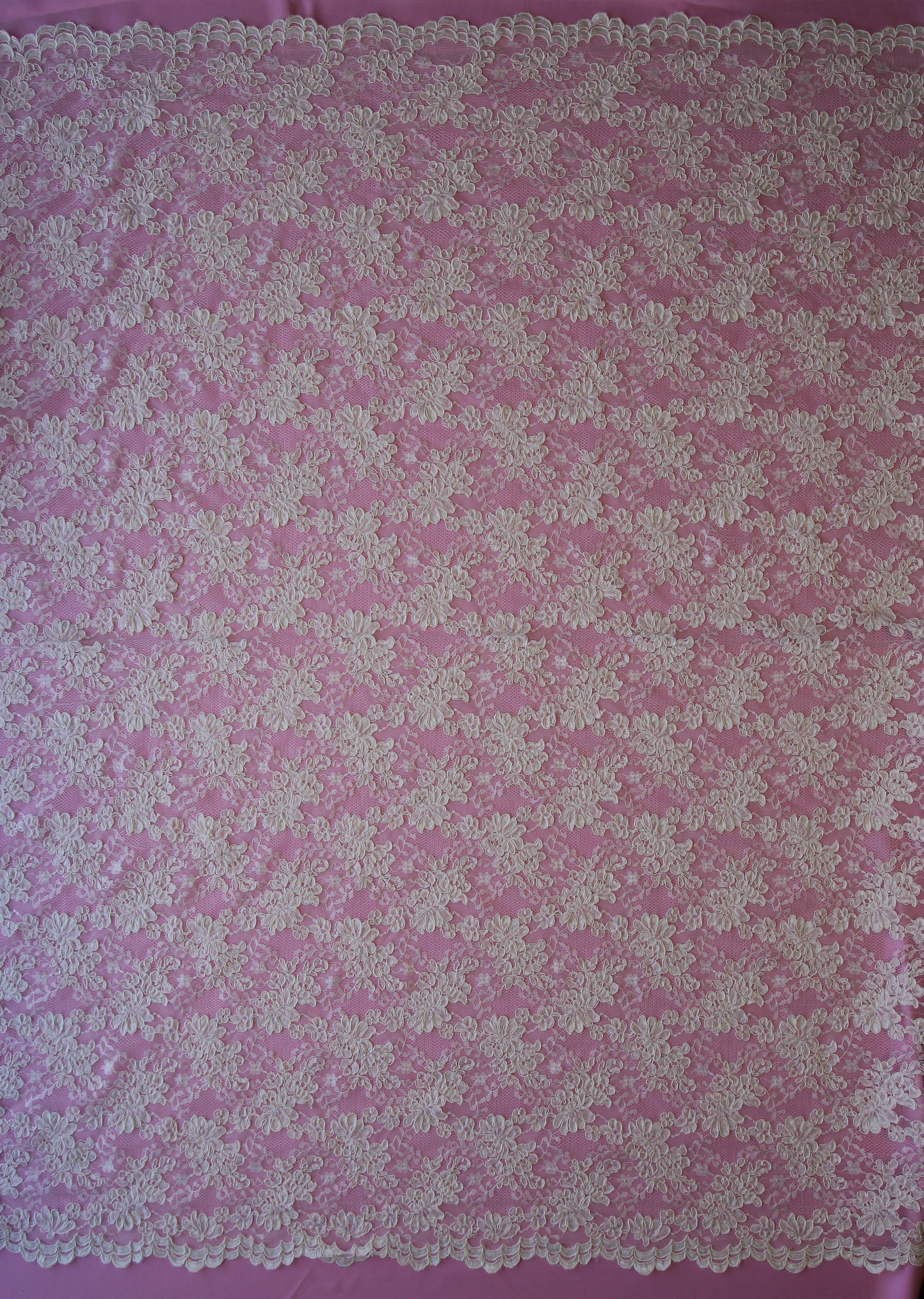 Dentelle de mariage à cordon ivoire - Audrey