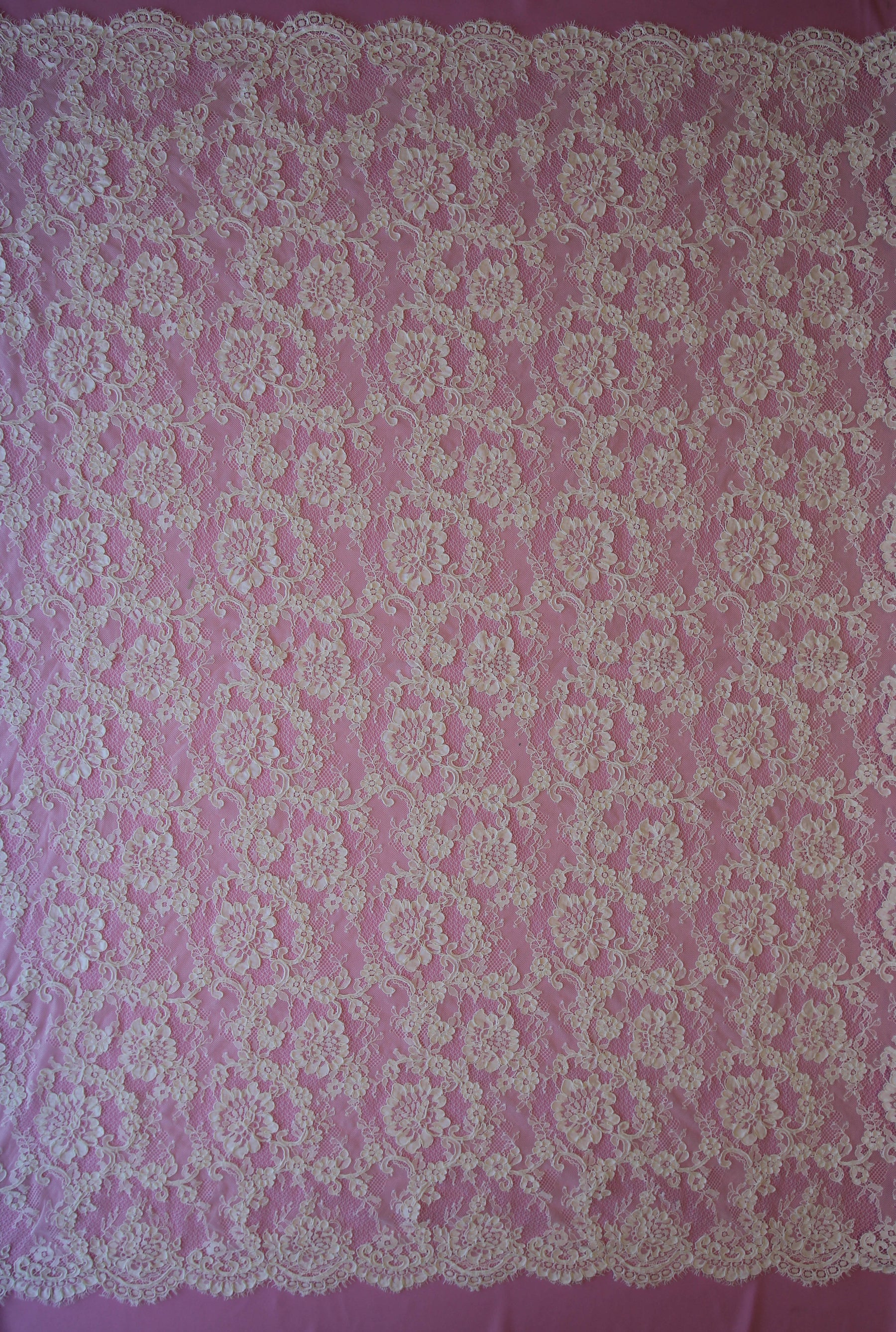 Dentelle Cordonnée Ivoire - Dionne