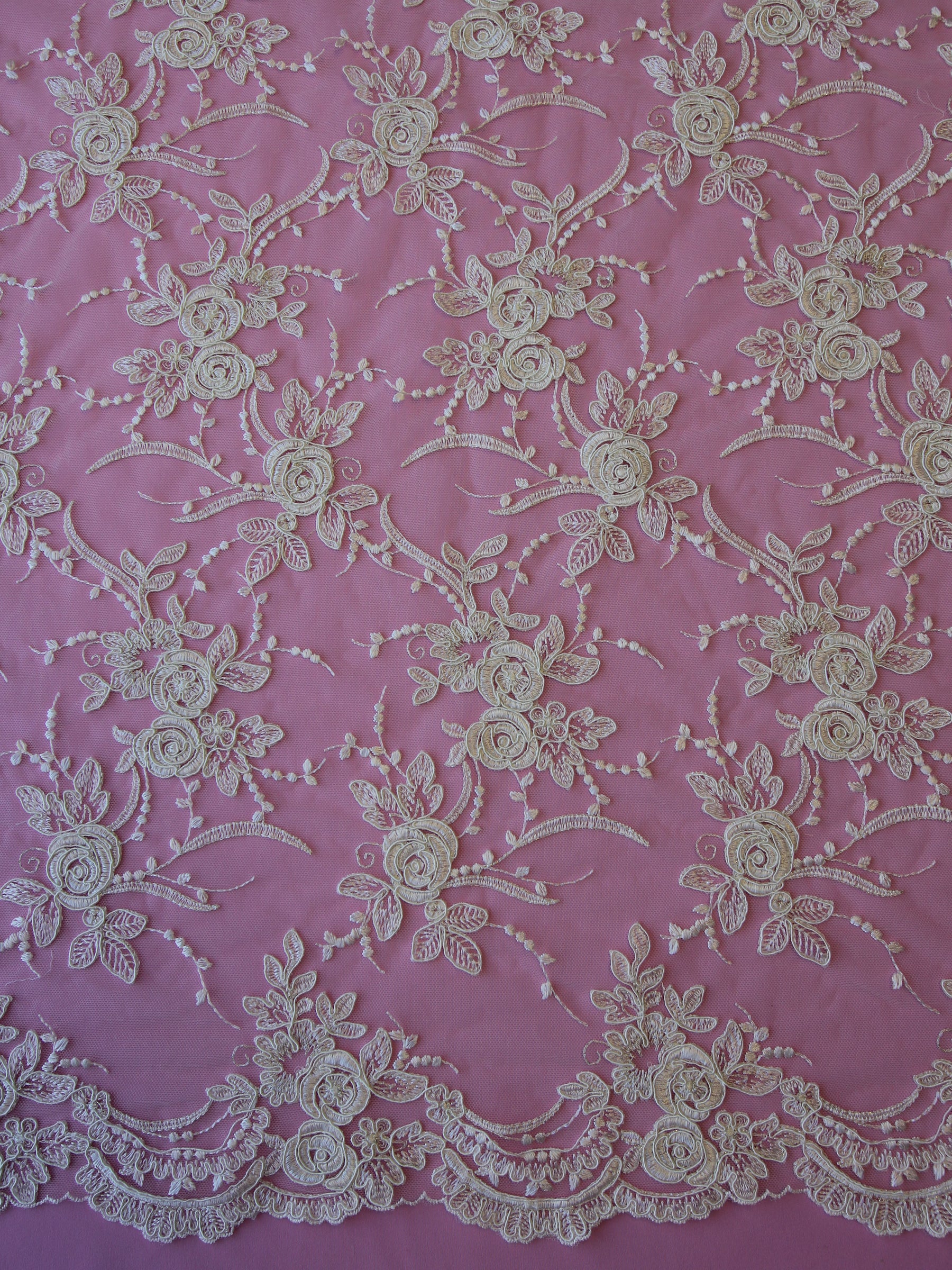 Dentelle Cordonnée Ivoire - Maria