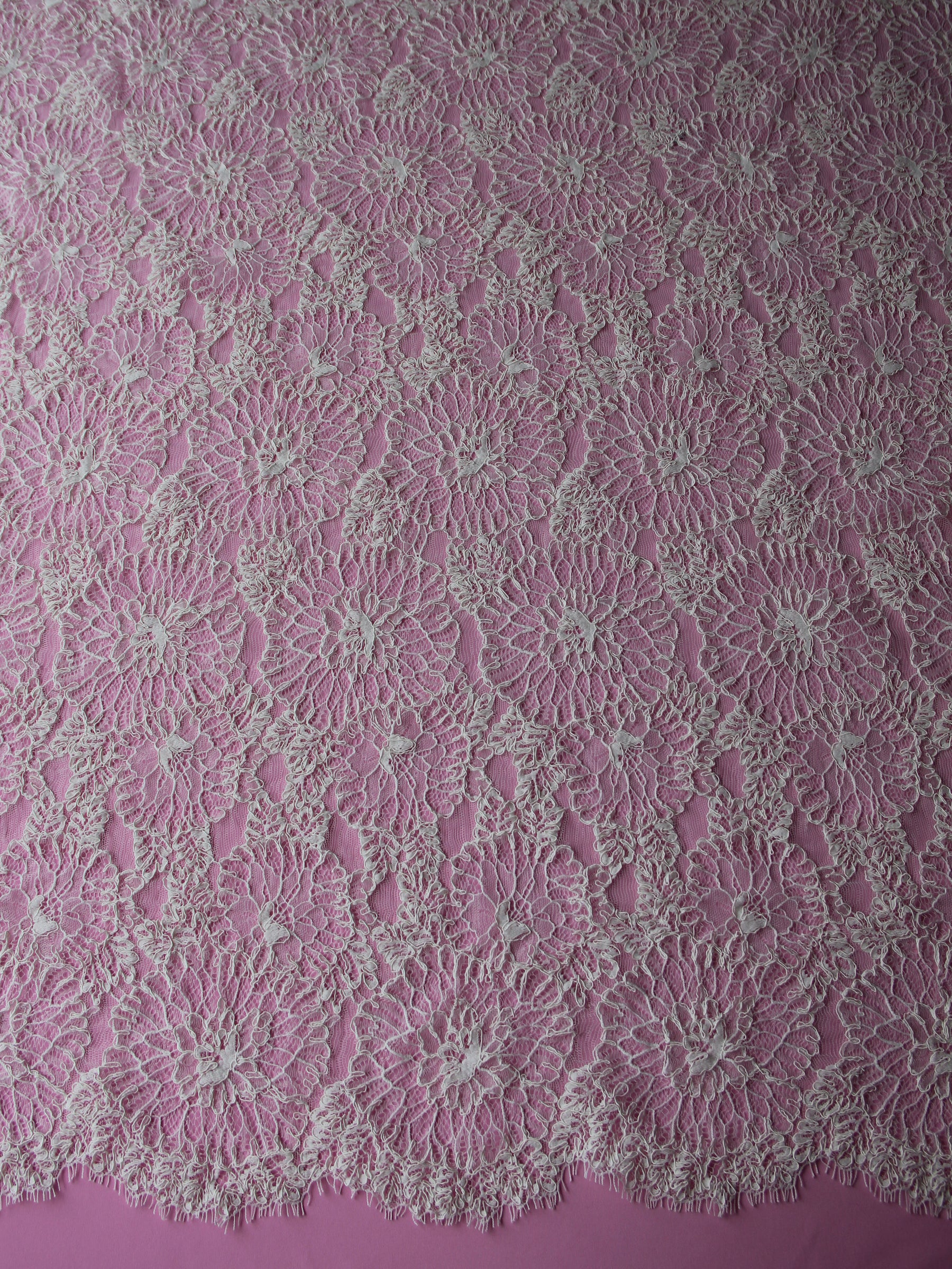 Dentelle Ivoire Cordon - Priya