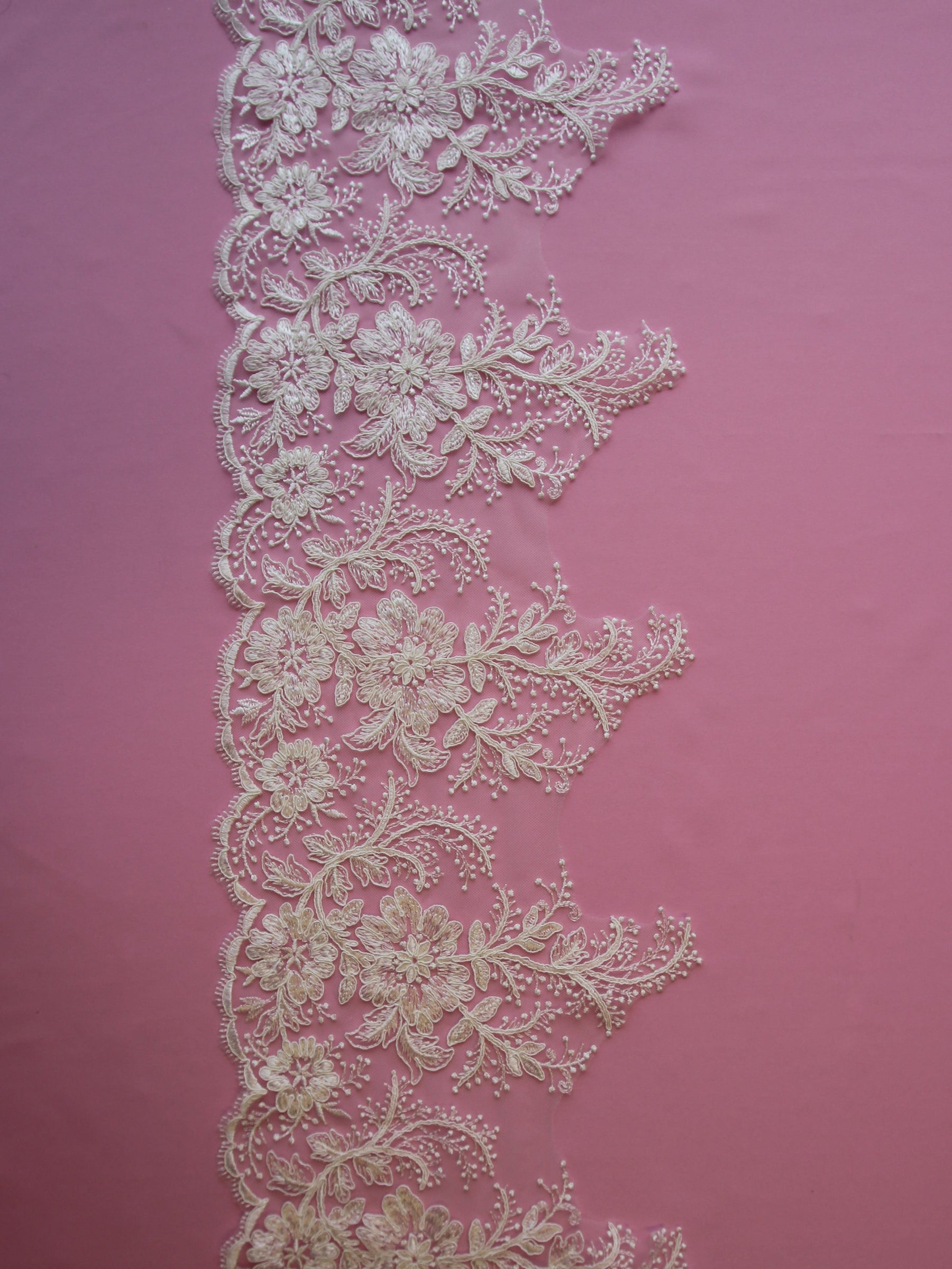 Bordure en dentelle ivoire cordée – Wyoming