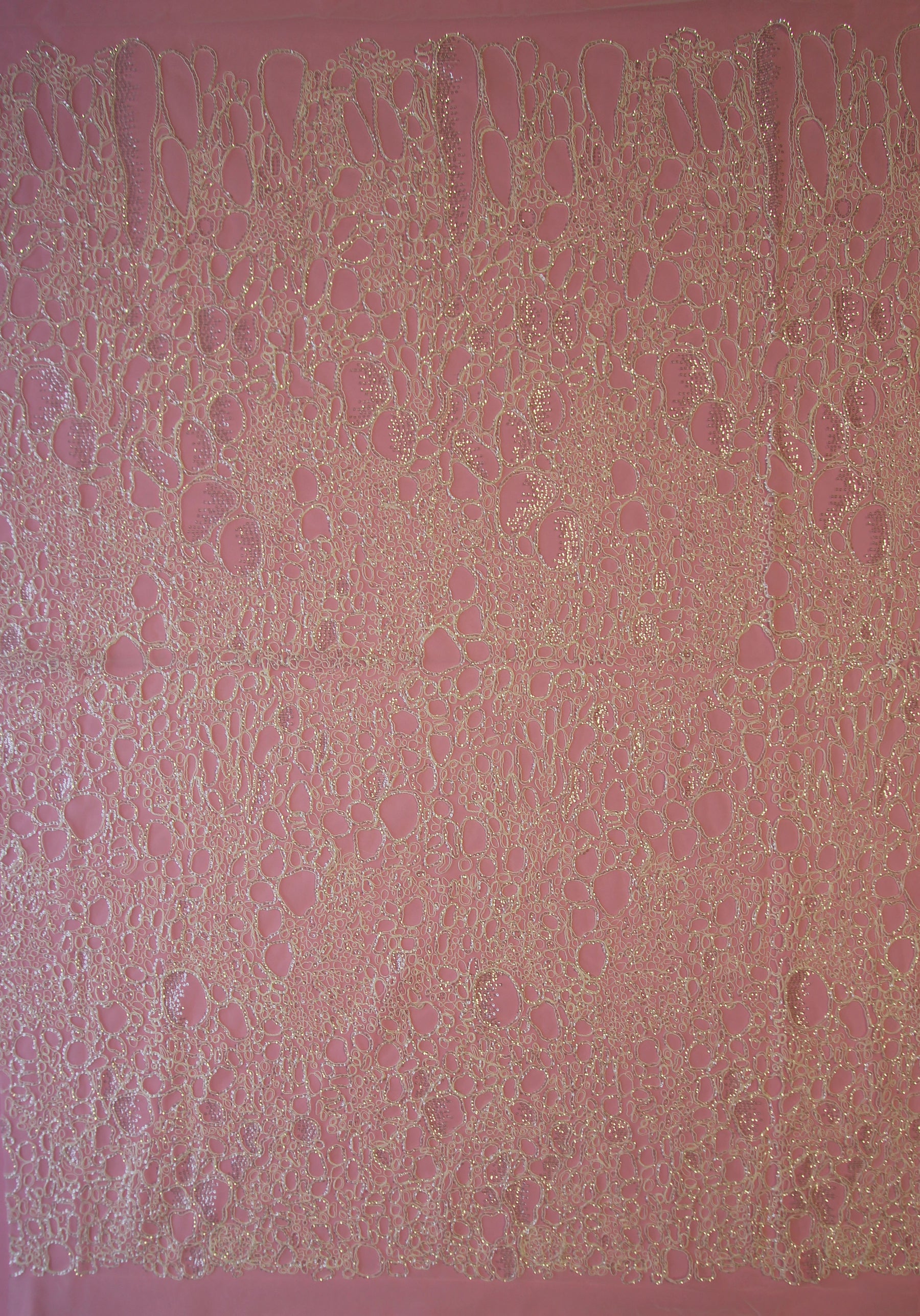 Dentelle Cordonnée Ivoire - Raven