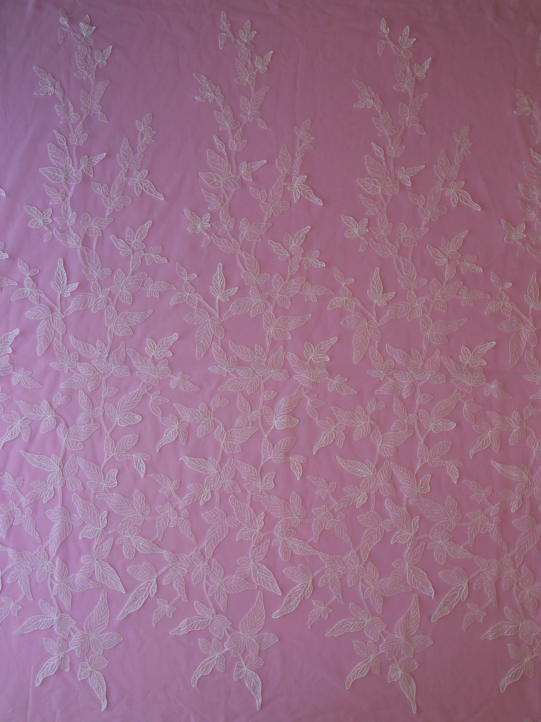 Dentelle Brodée Ivoire - Alhambra