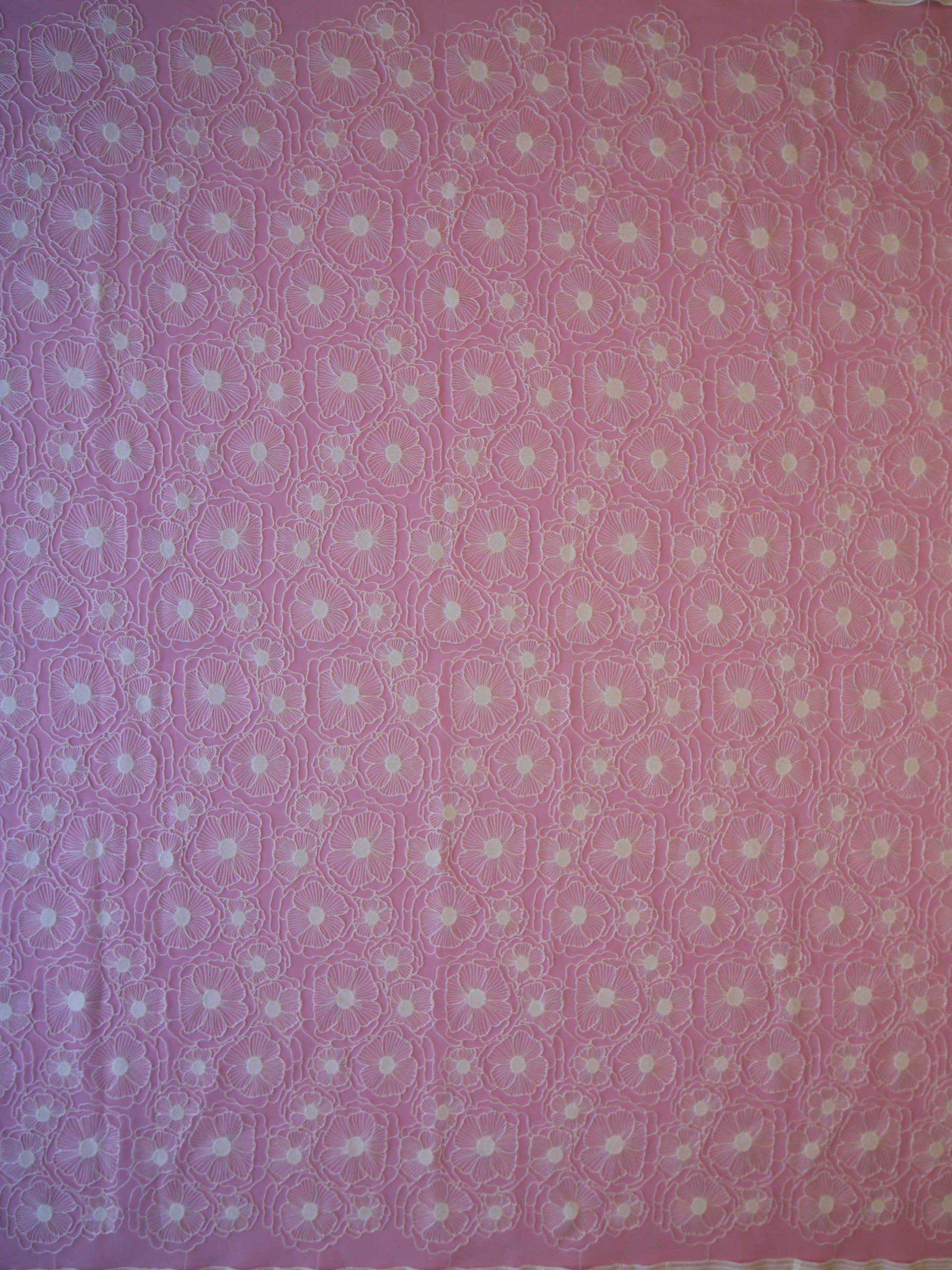Dentelle brodée ivoire - Arlo