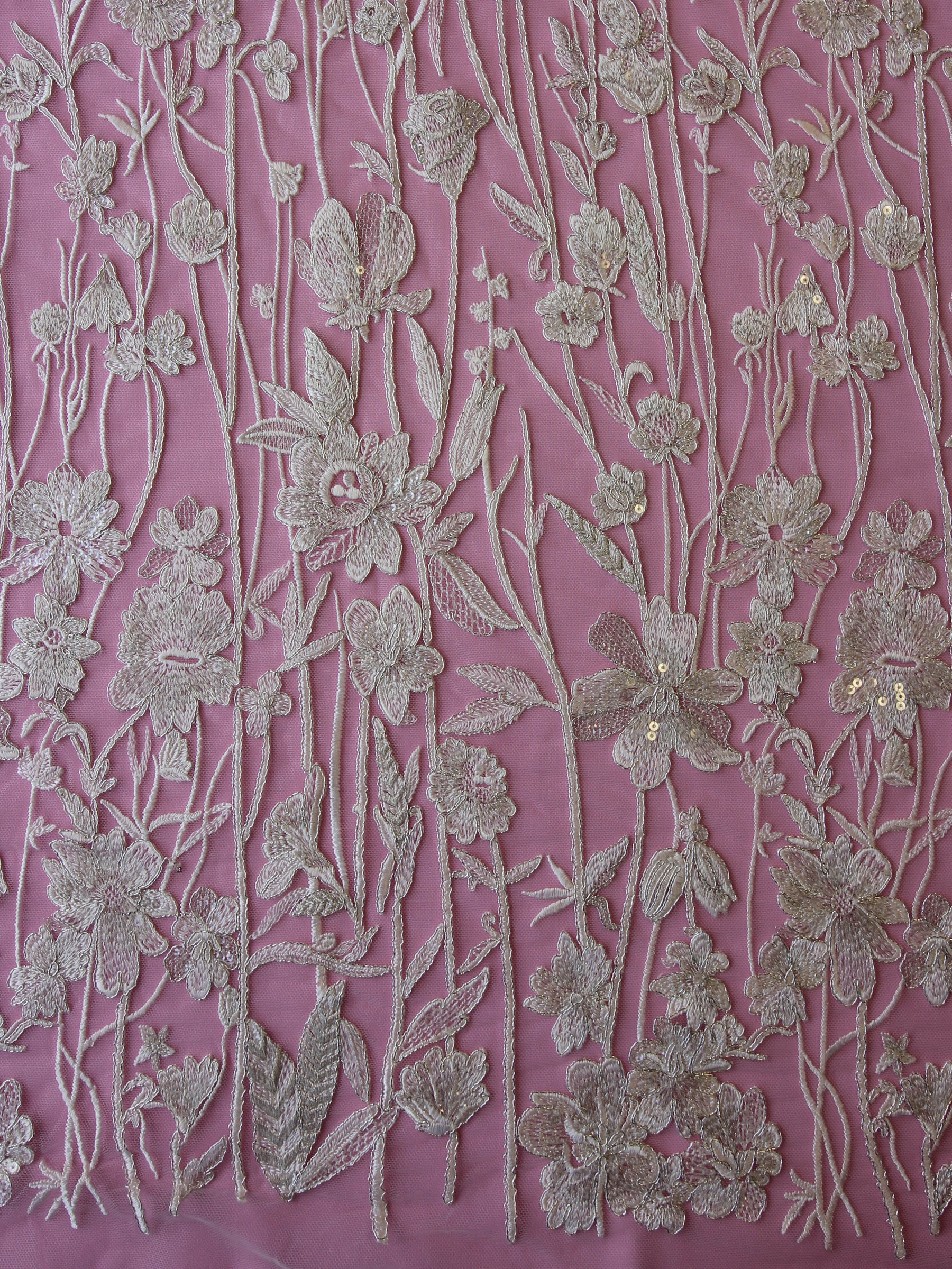 Dentelle Broderie Ivoire - Chepita