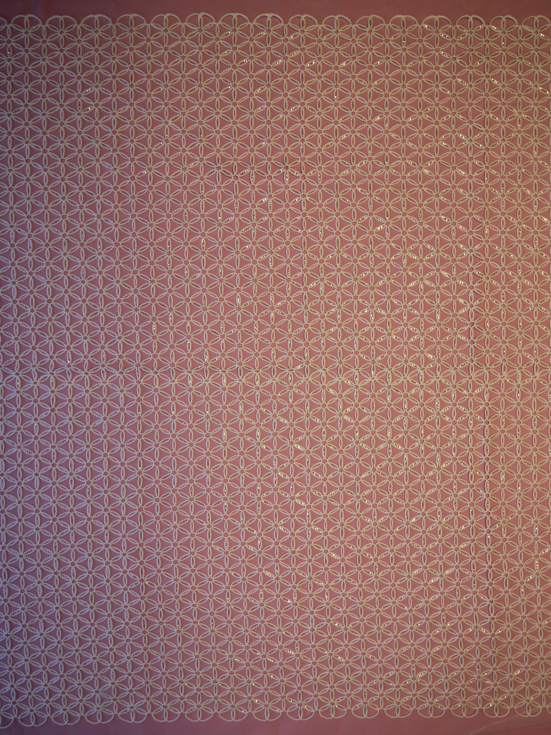 Dentelle Brodée Ivoire - Côme
