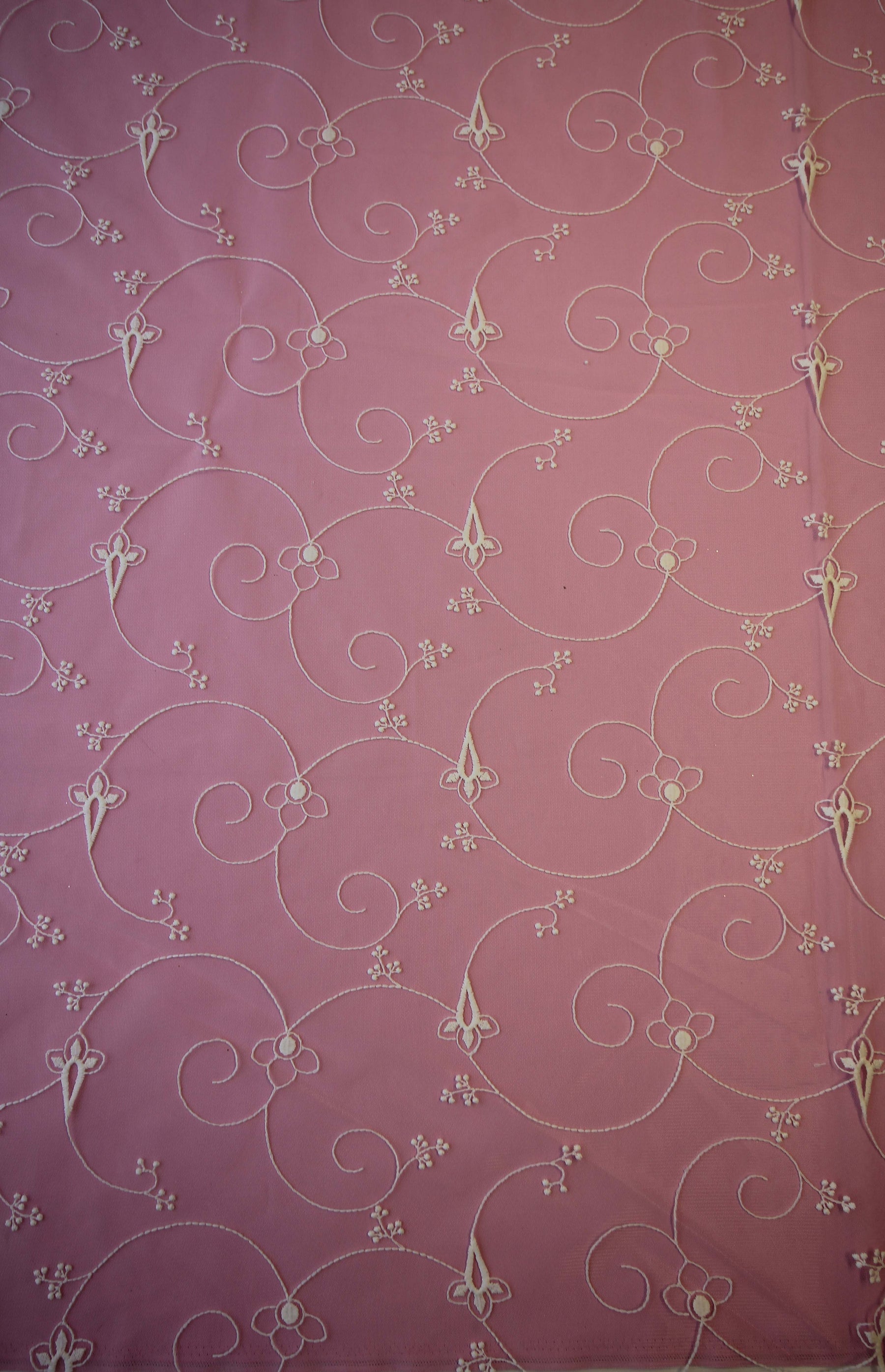 Dentelle Brodée Ivoire - Cortina