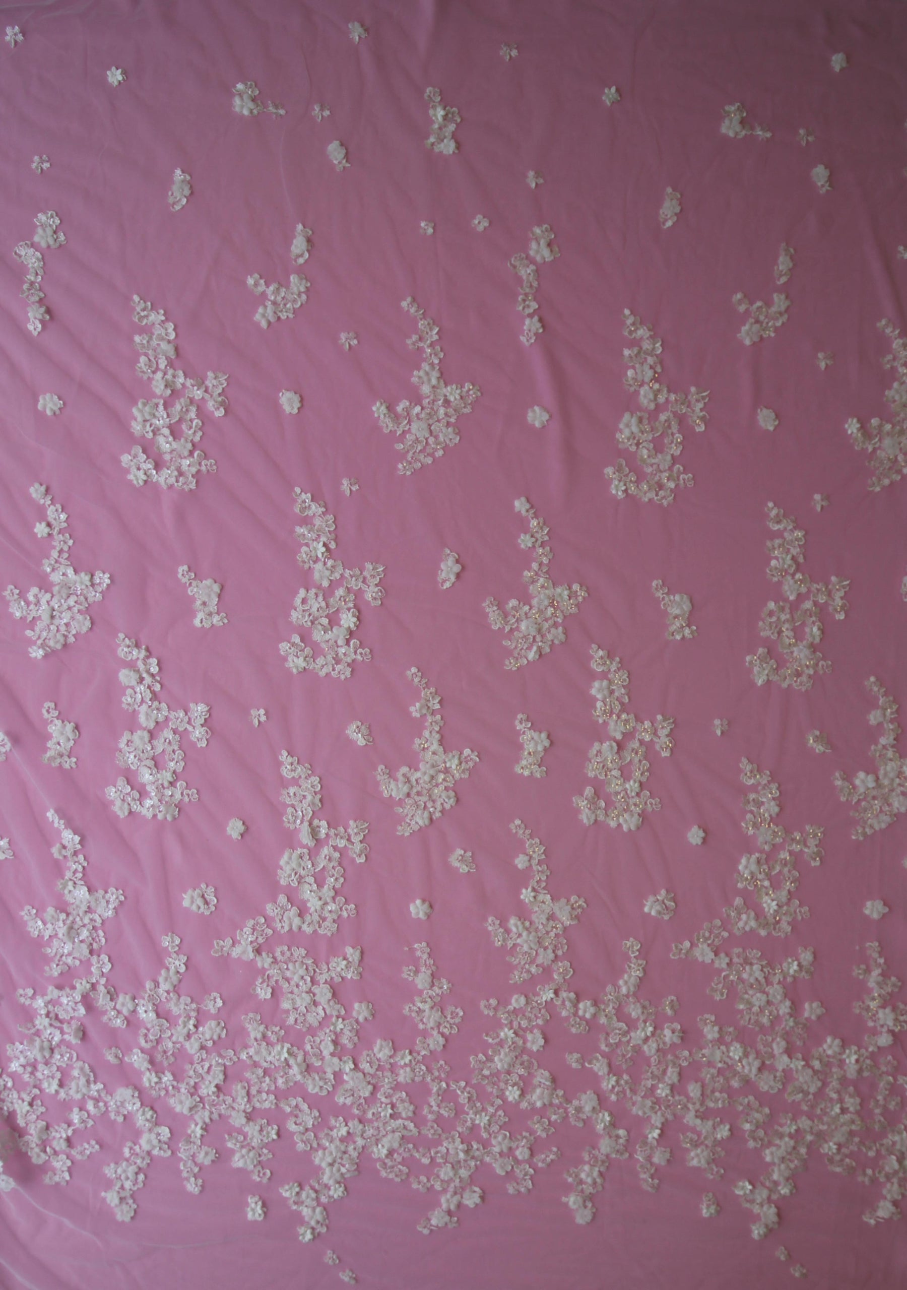 Dentelle Broderie Ivoire - Fabienne