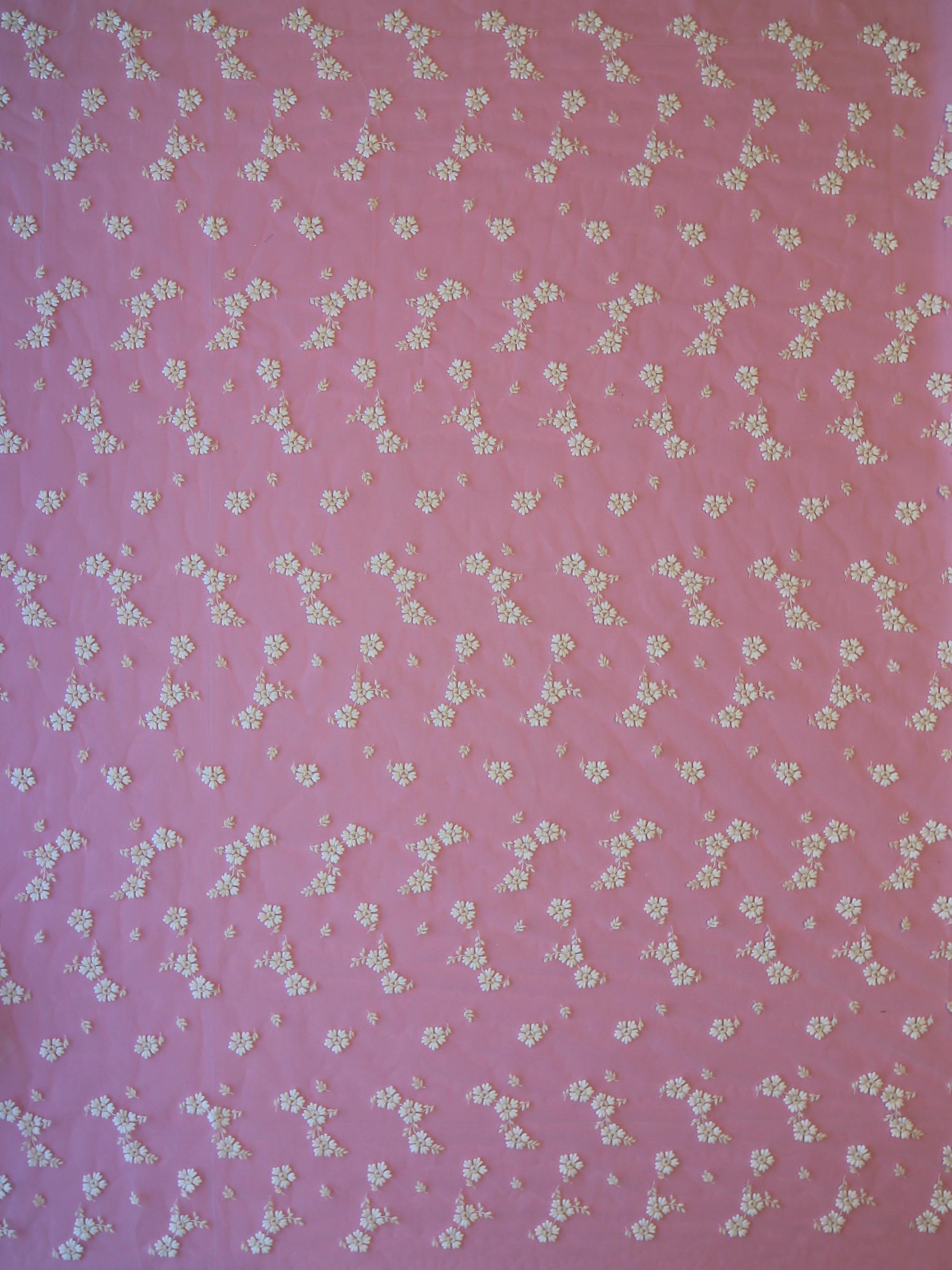 Dentelle Broderie Florale Ivoire - Morag