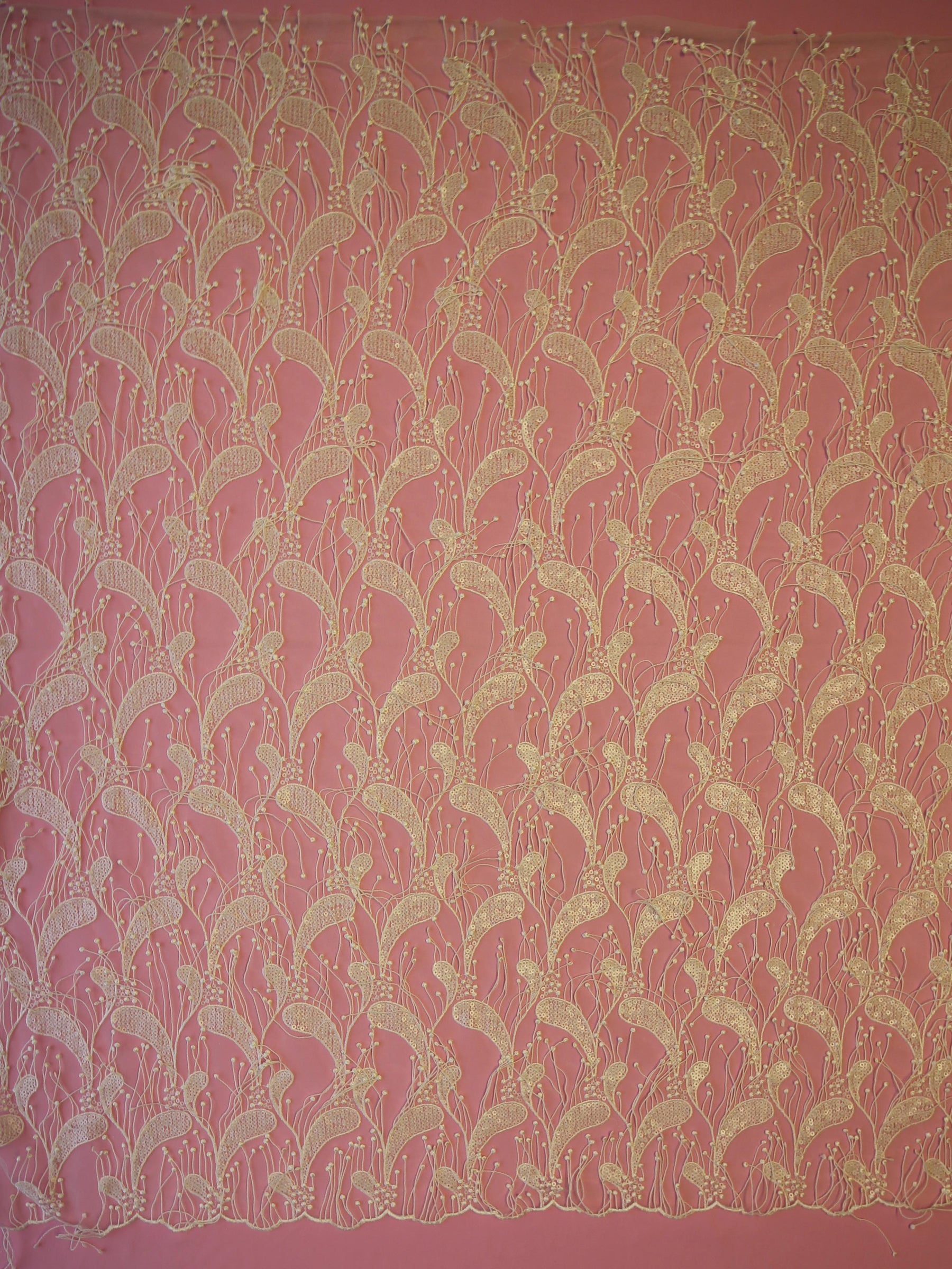 Dentelle Paisley à sequins ivoire - Ronnie