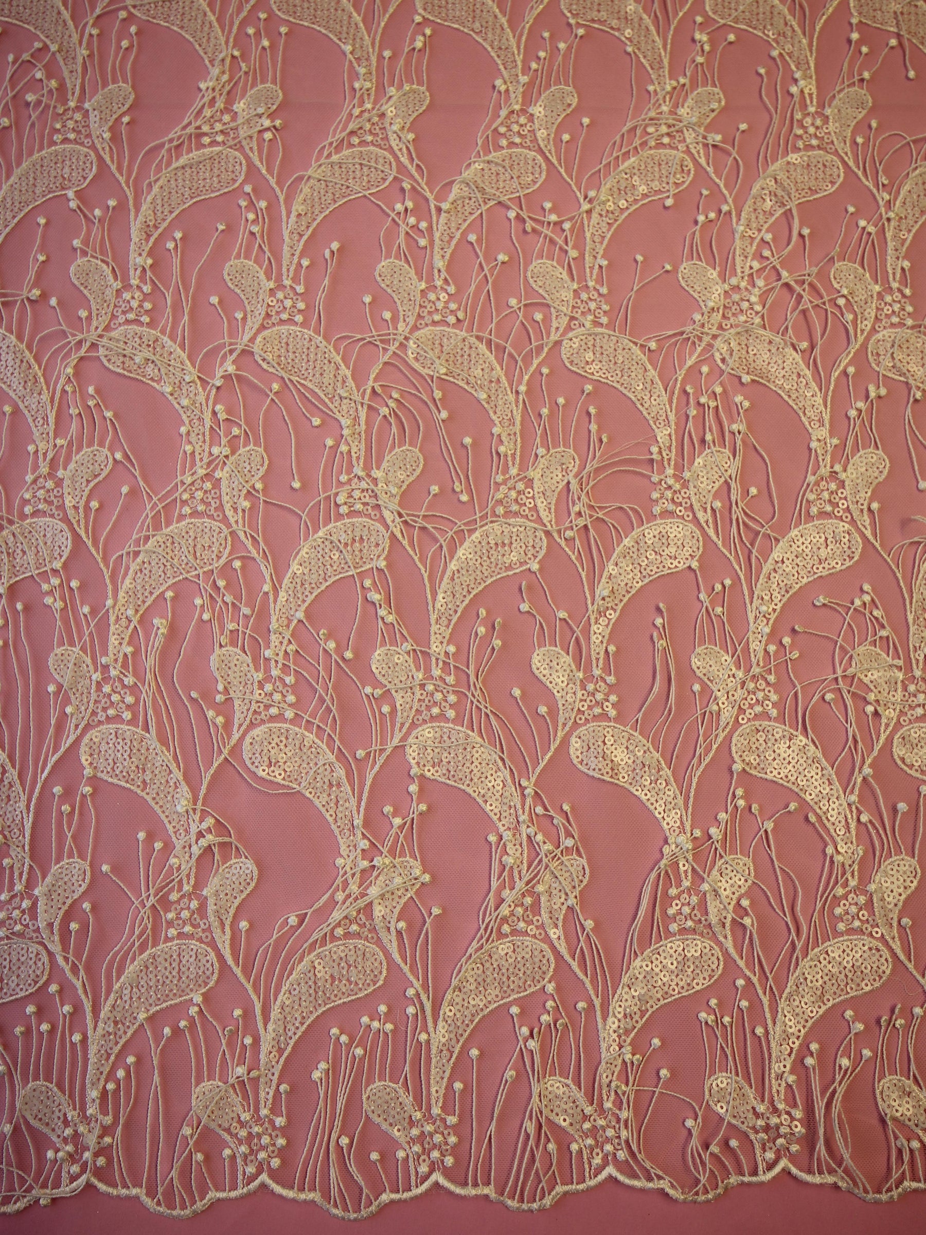 Dentelle Paisley à sequins ivoire - Ronnie