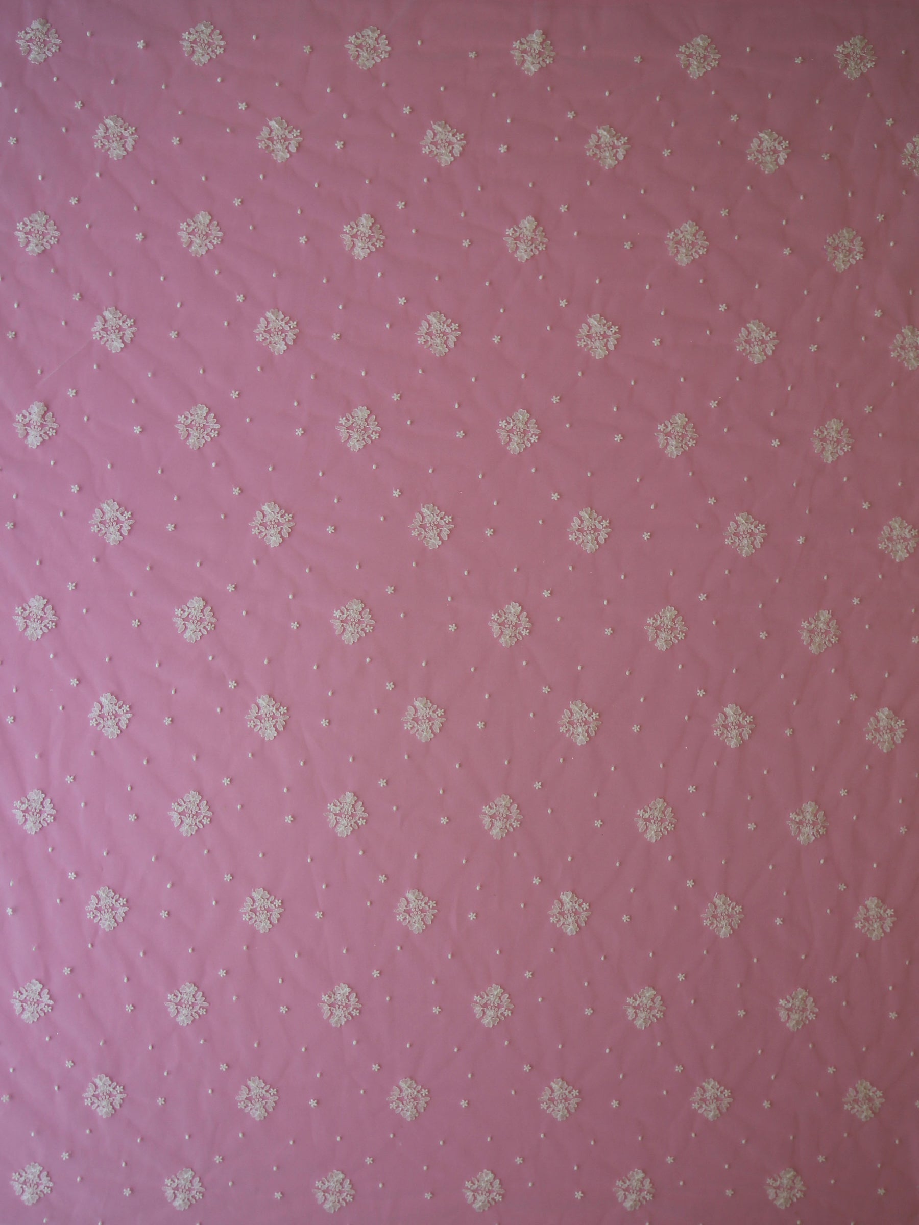 Dentelle Brodée Ivoire - Villanelle