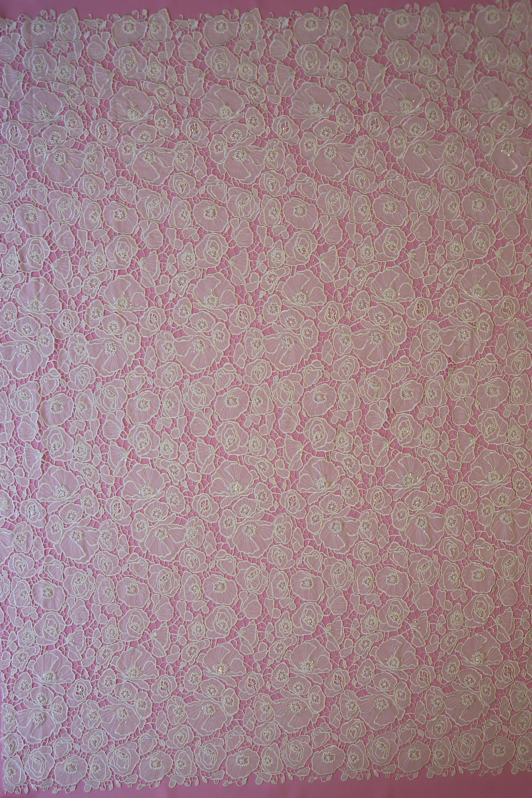 Dentelle Brodée Ivoire - Elsa
