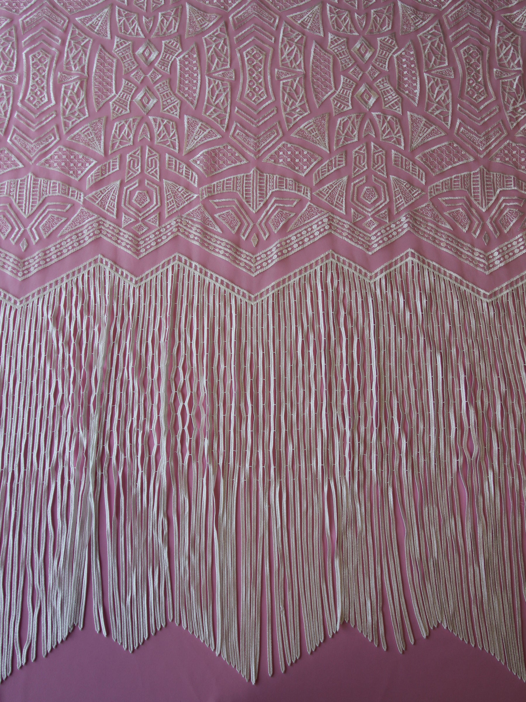 Dentelle Brodée à Franges Ivoire - Essence