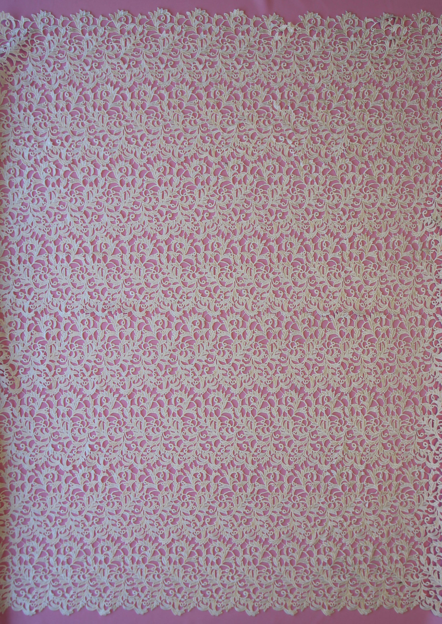 Dentelle Guipure Ivoire - Klara