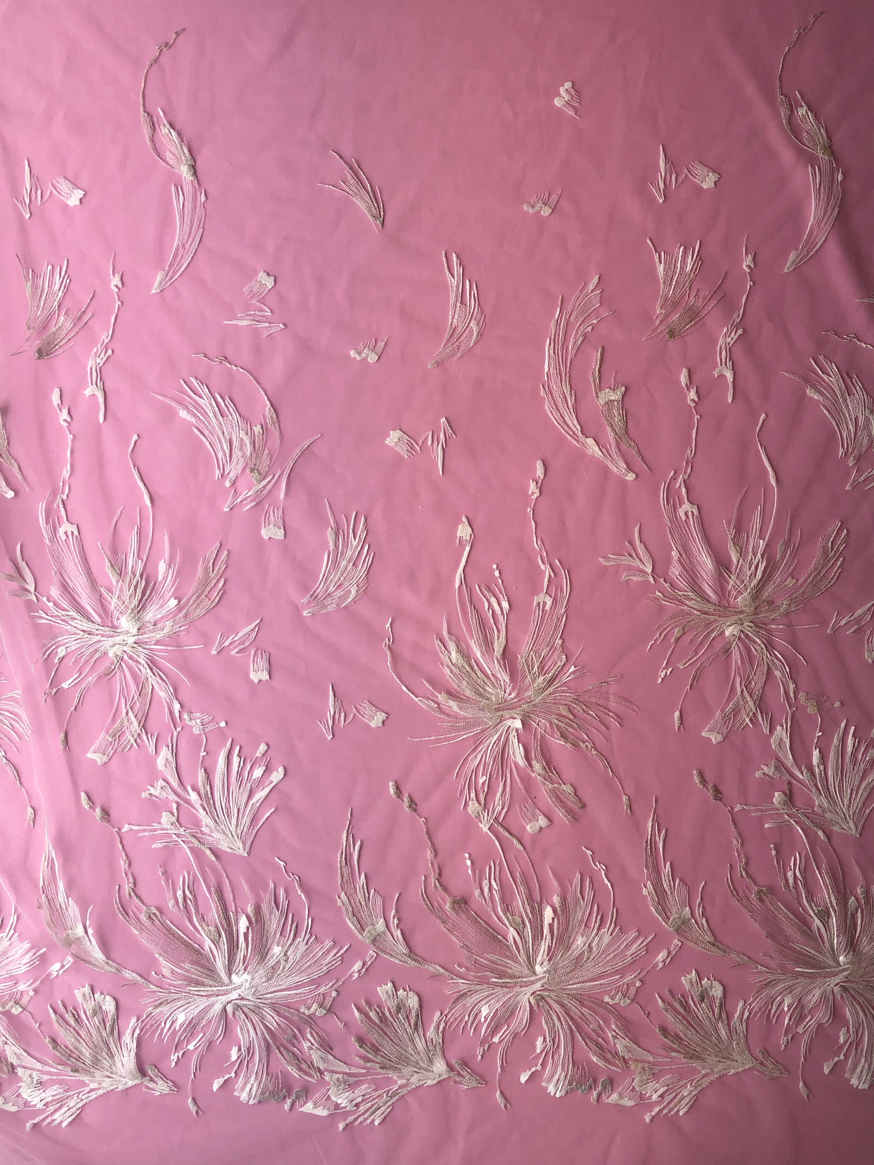 Dentelle Brodée Ivoire - Bruna