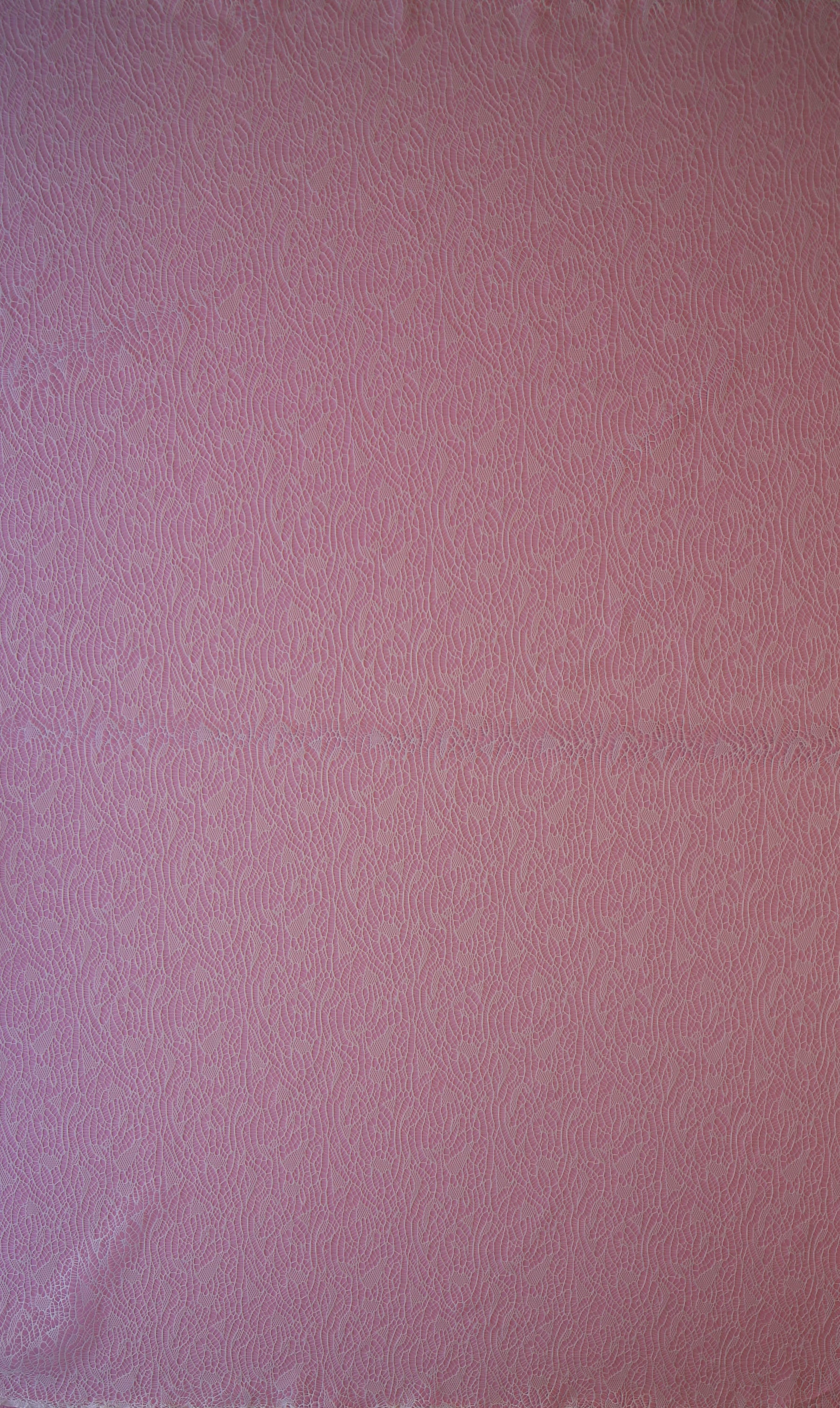 Dentelle Rachel Ivoire - Jubilé