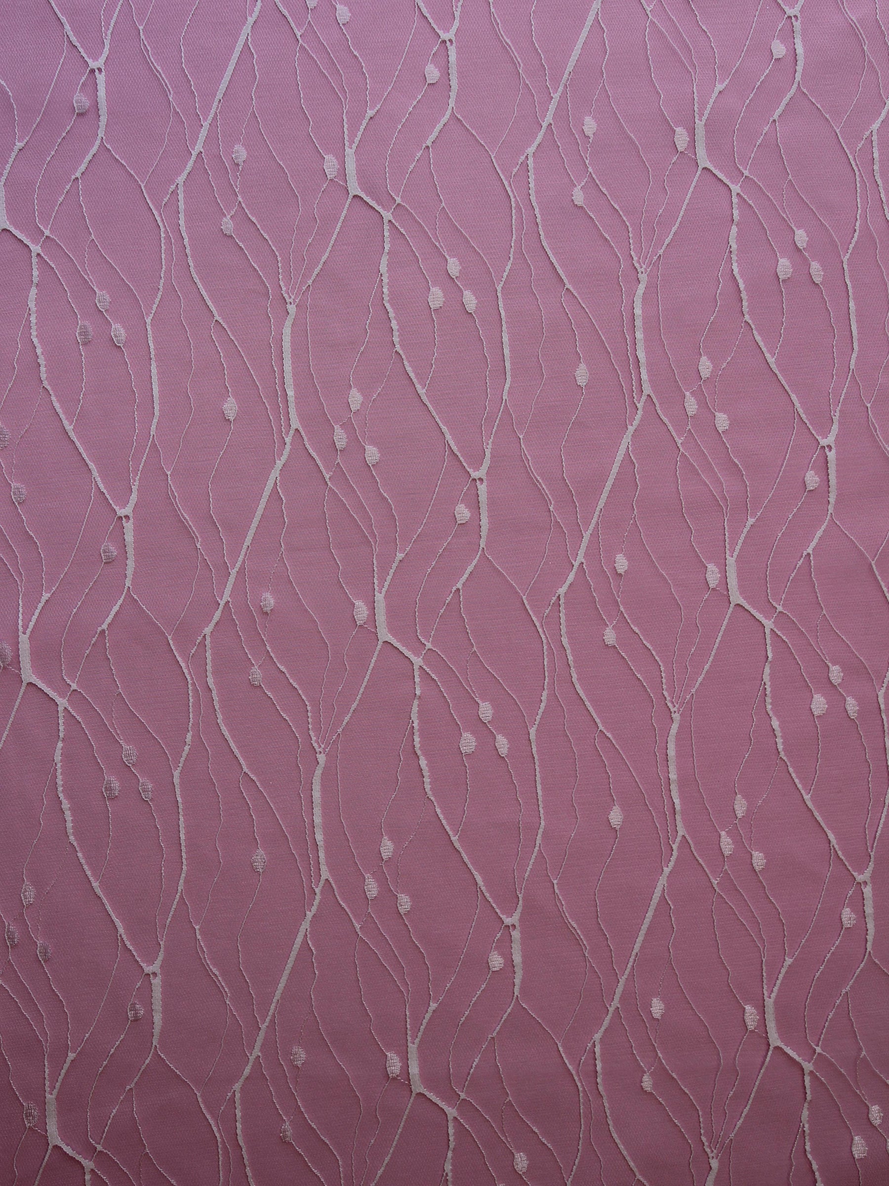 Dentelle Rachel Ivoire - Stream