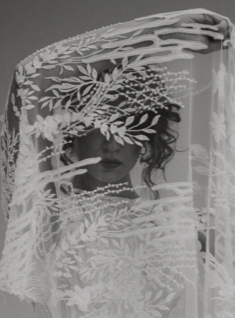 Dentelle Brodée Ivoire - Luciana