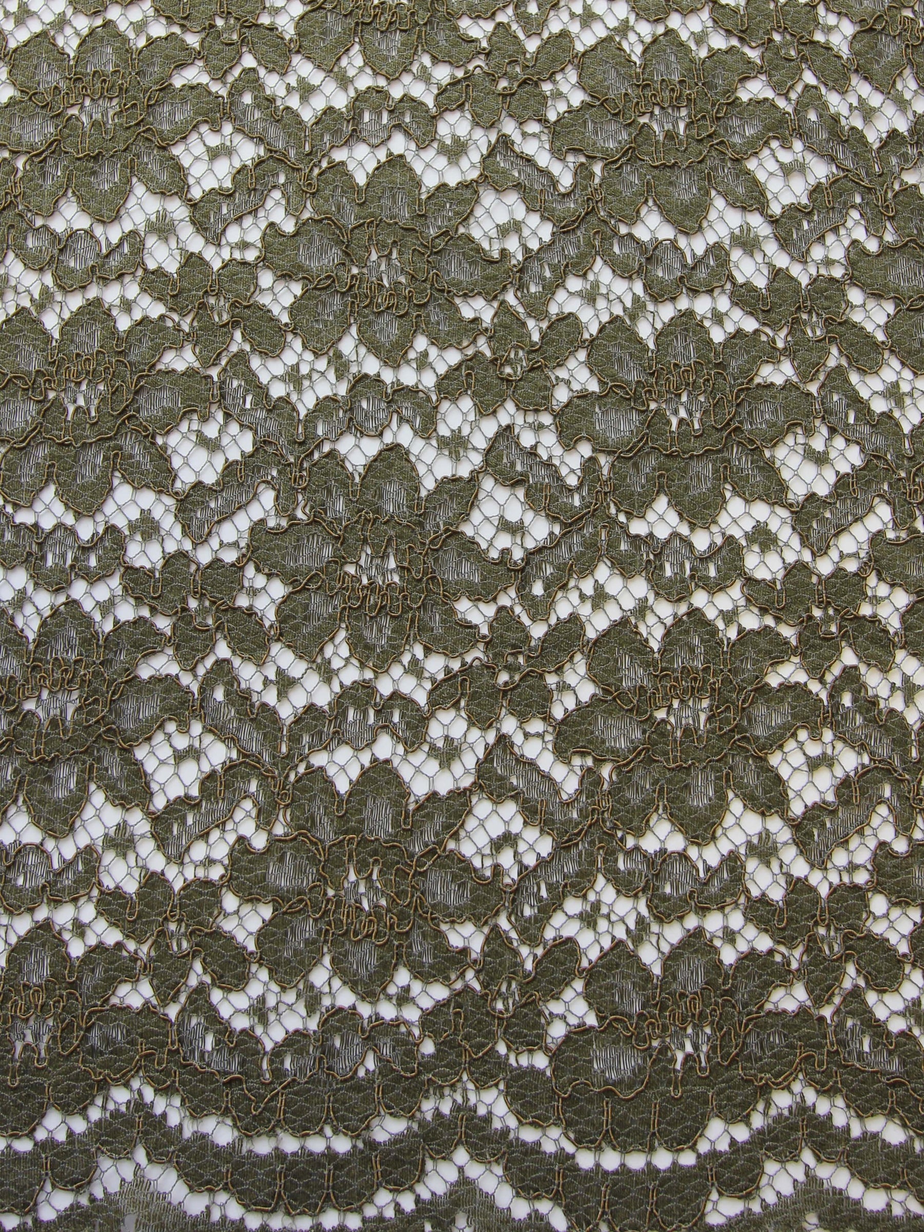 Dentelle cordon olive - Shannon