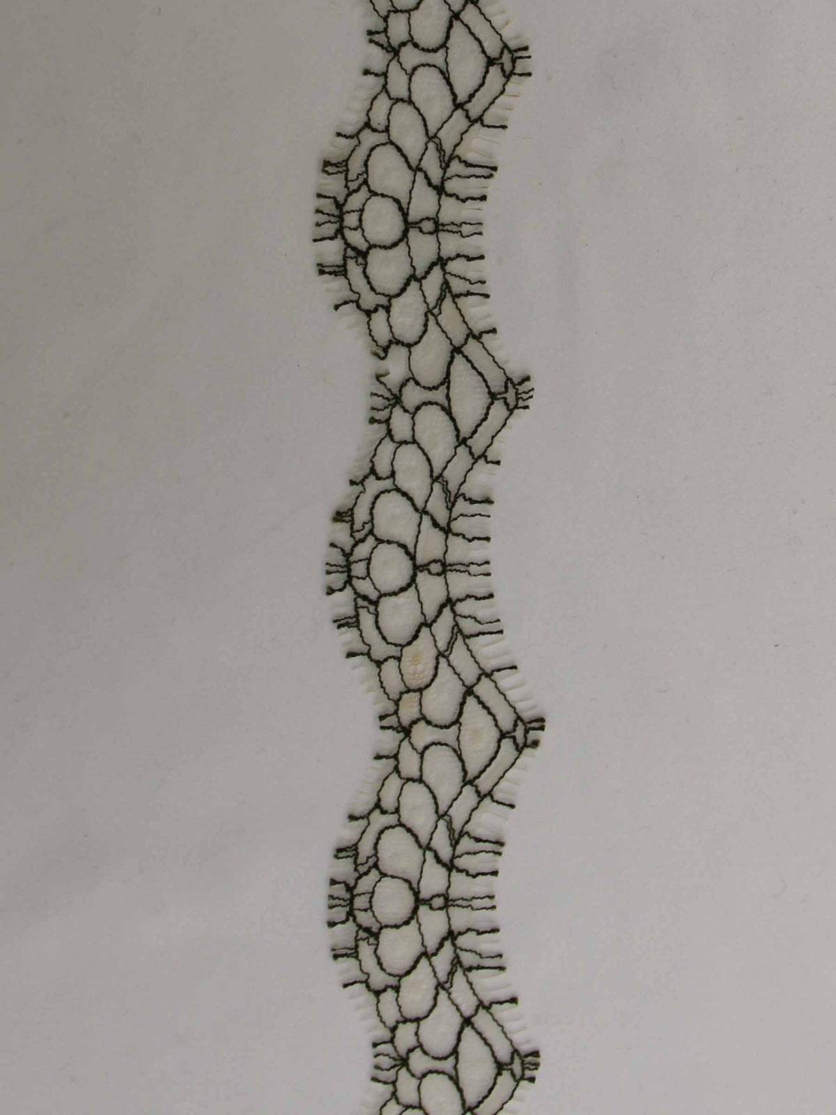 Garniture en dentelle olive - Darcey