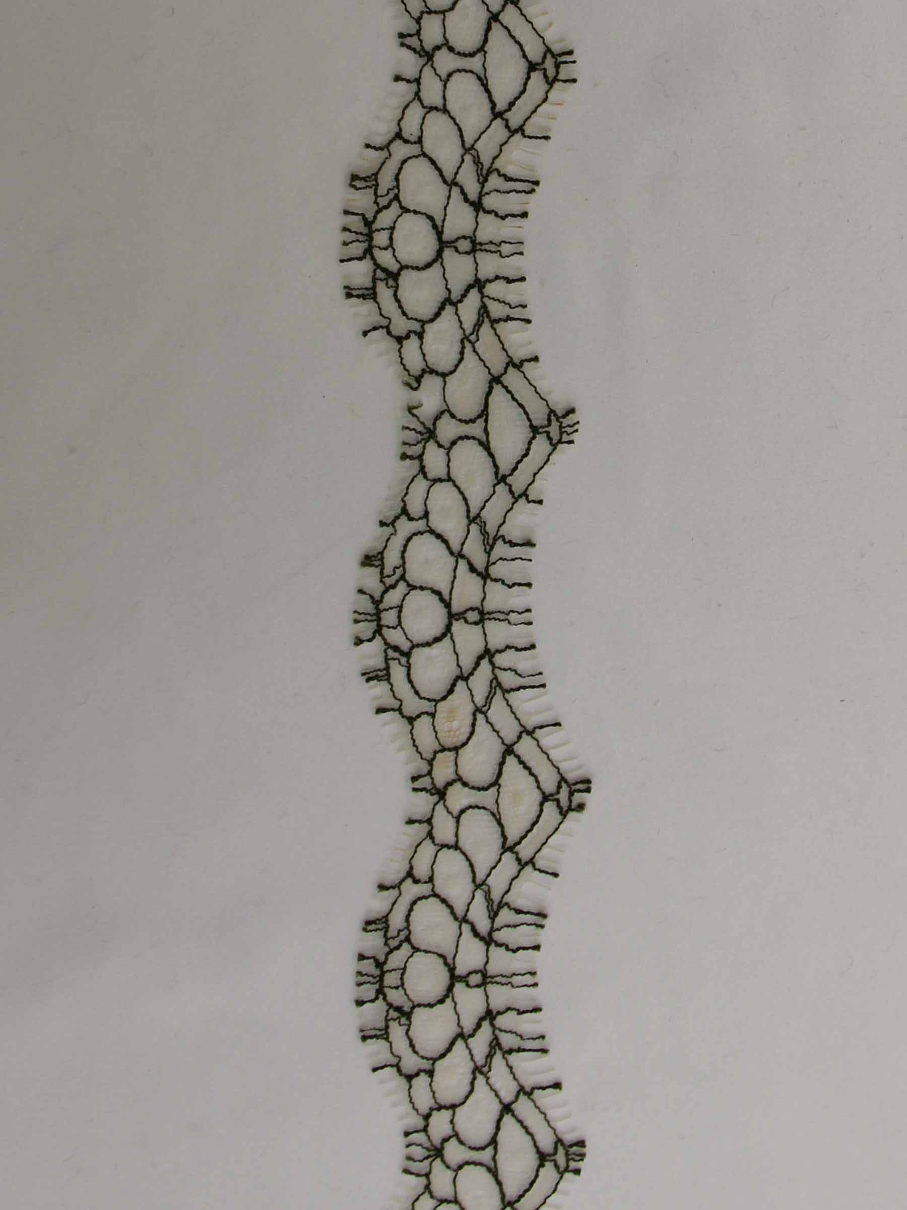 Garniture en dentelle olive - Darcey