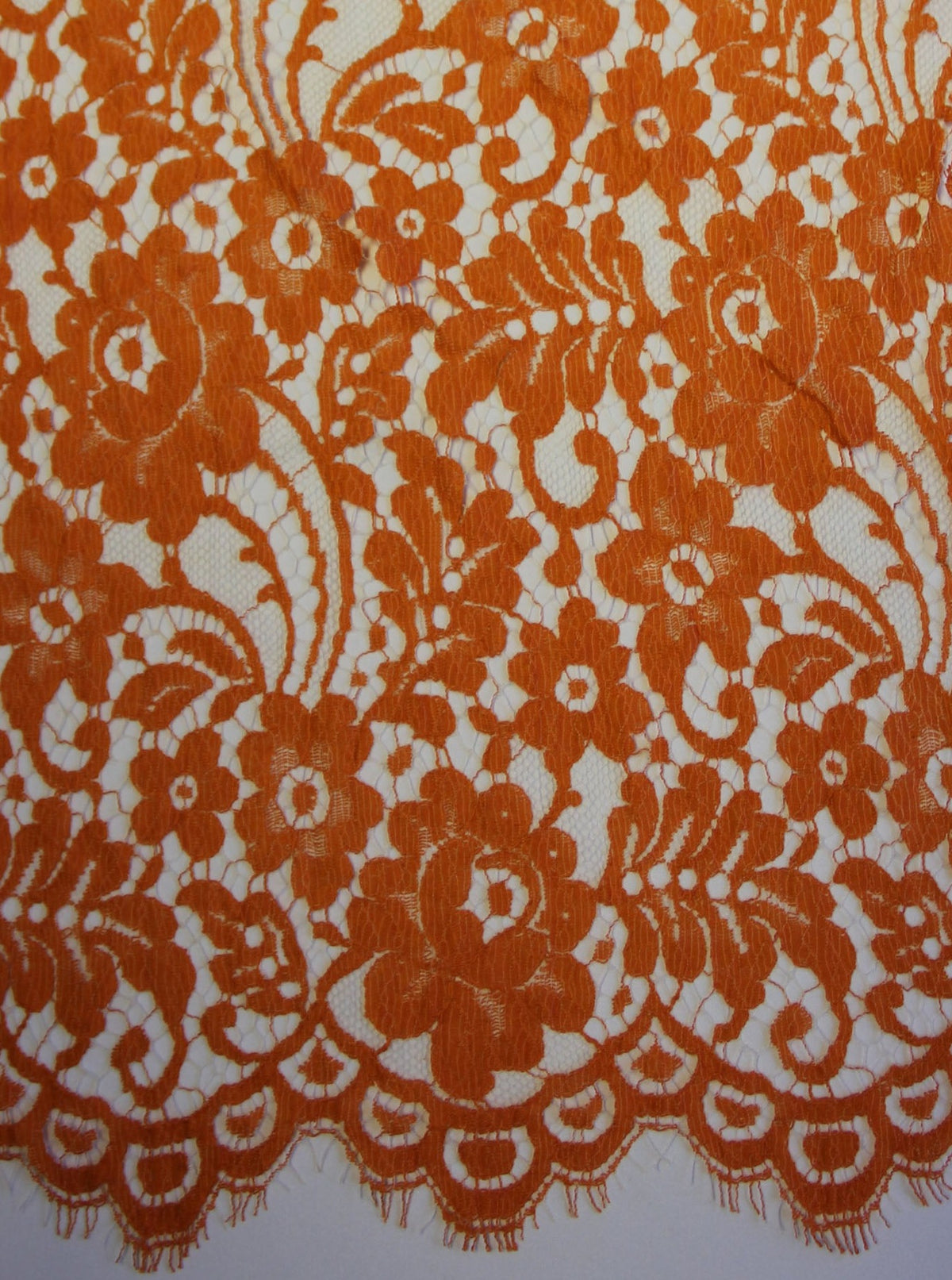 Dentelle Orange - Jemima.