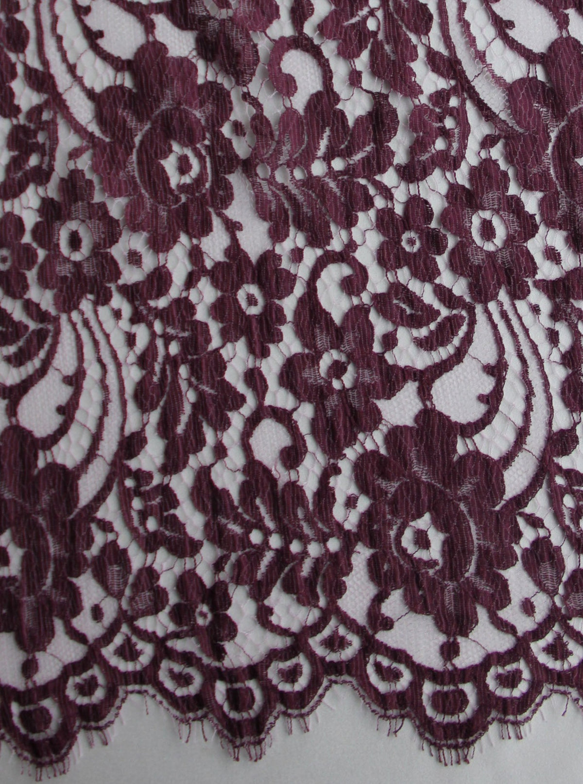 Dentelle Prune - Jemima